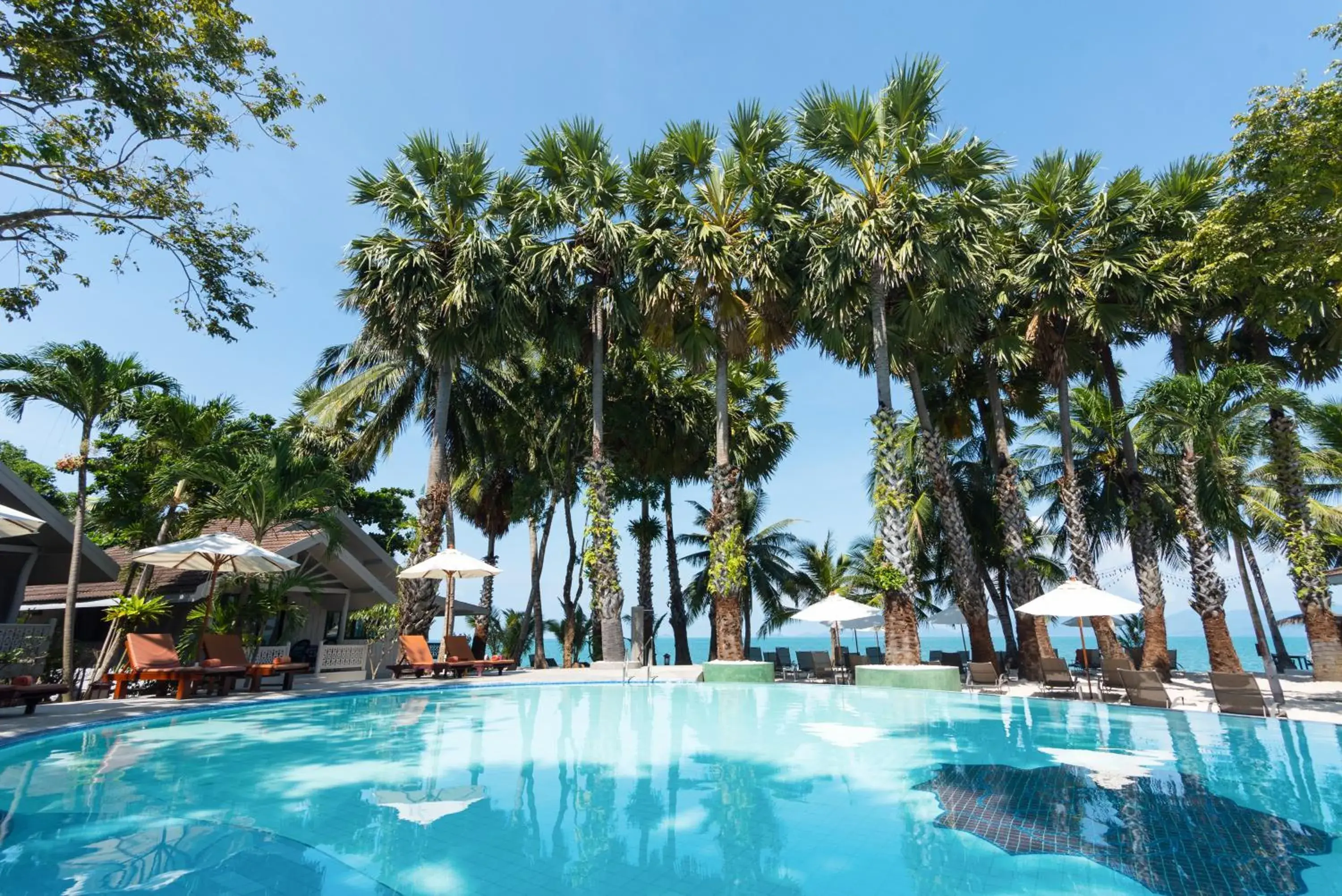 Pool view in Paradise Beach Resort, Koh Samui - SHA Extra Plus Pool view in Paradise Beach Resort, Koh Samui - SHA Extra Plus