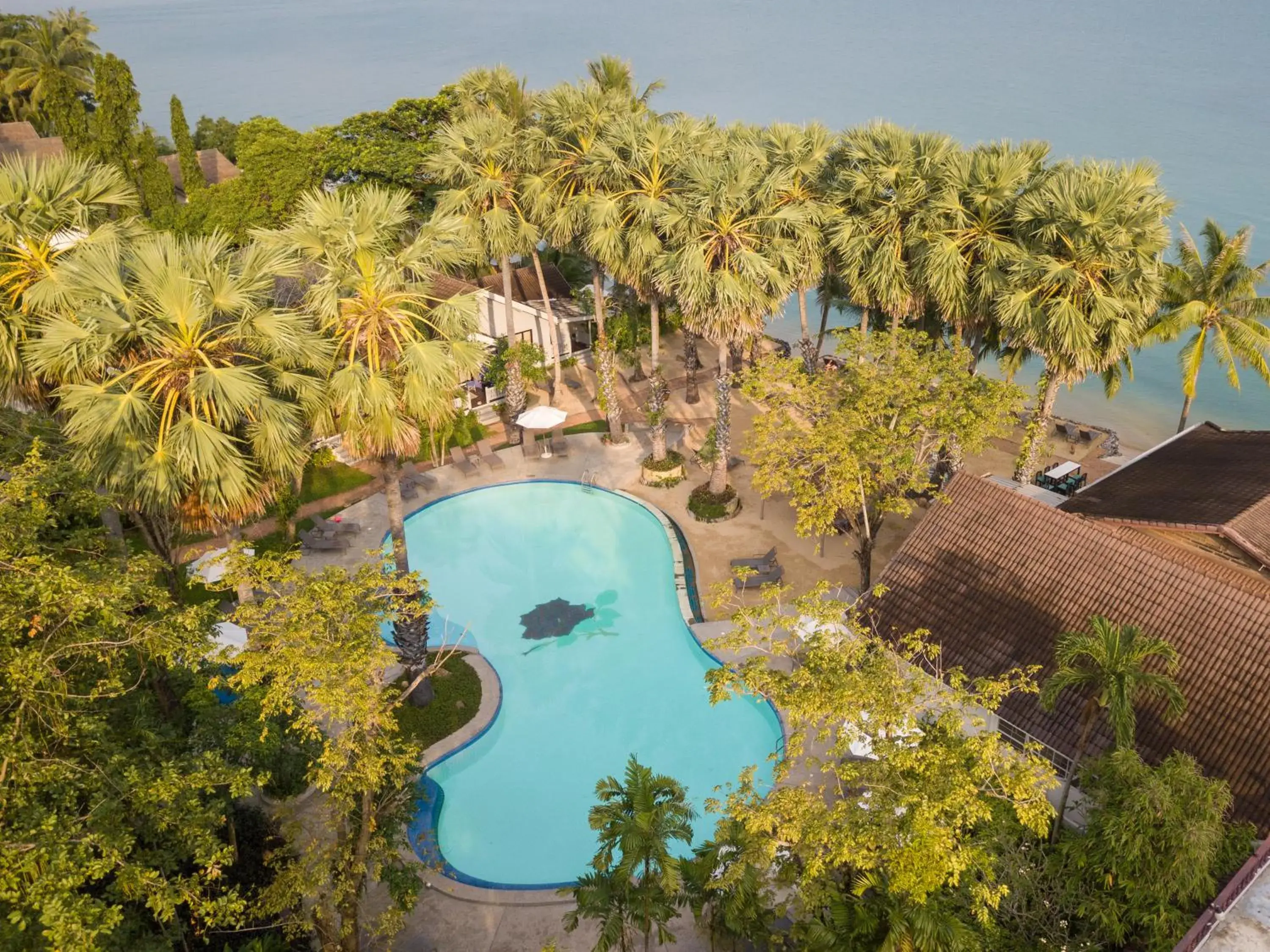 Bird's eye view in Paradise Beach Resort, Koh Samui - SHA Extra Plus Bird's eye view in Paradise Beach Resort, Koh Samui - SHA Extra Plus