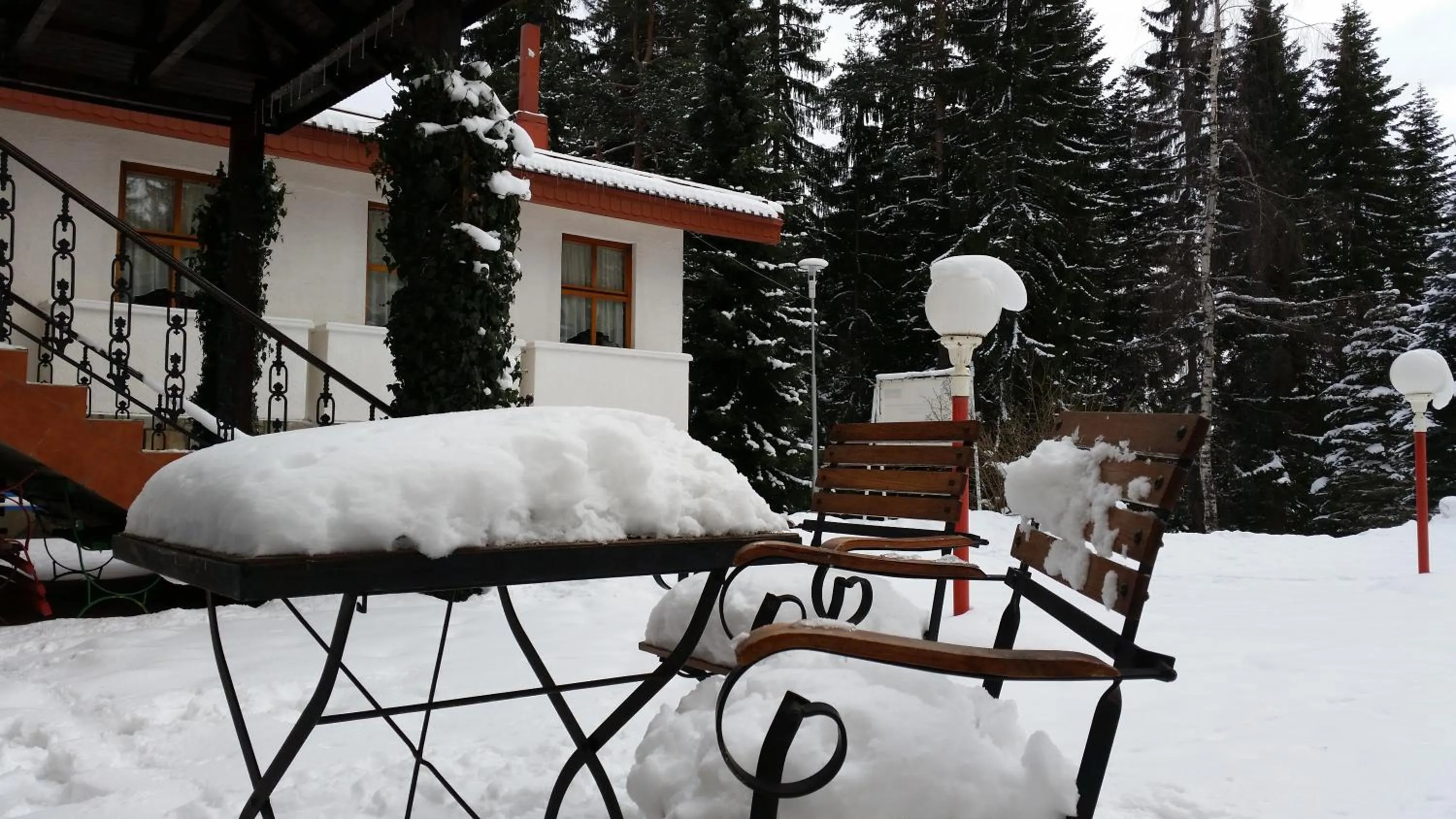 Garden in Elina Hotel