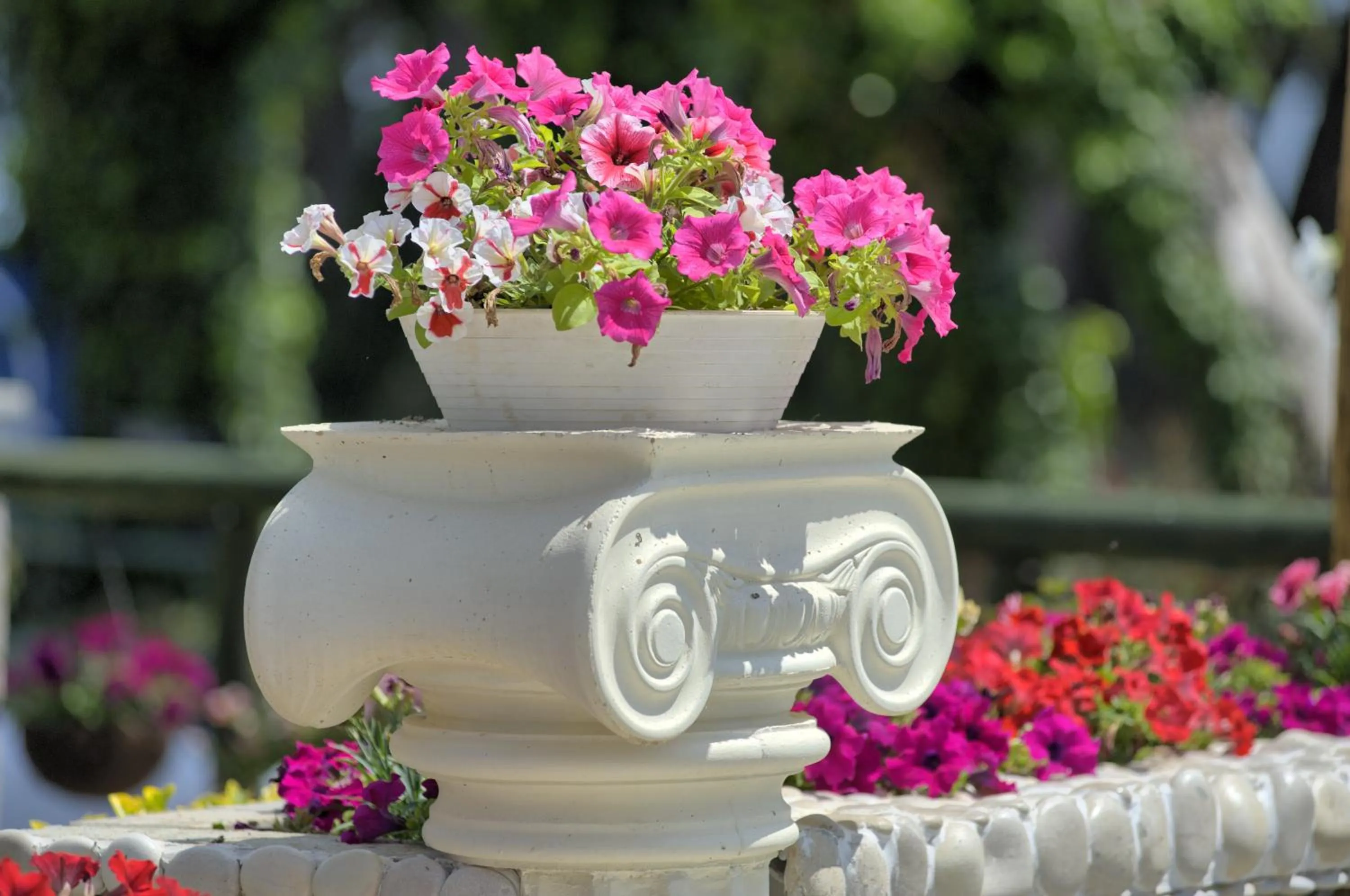 Garden in Molfetta Beach Hotel