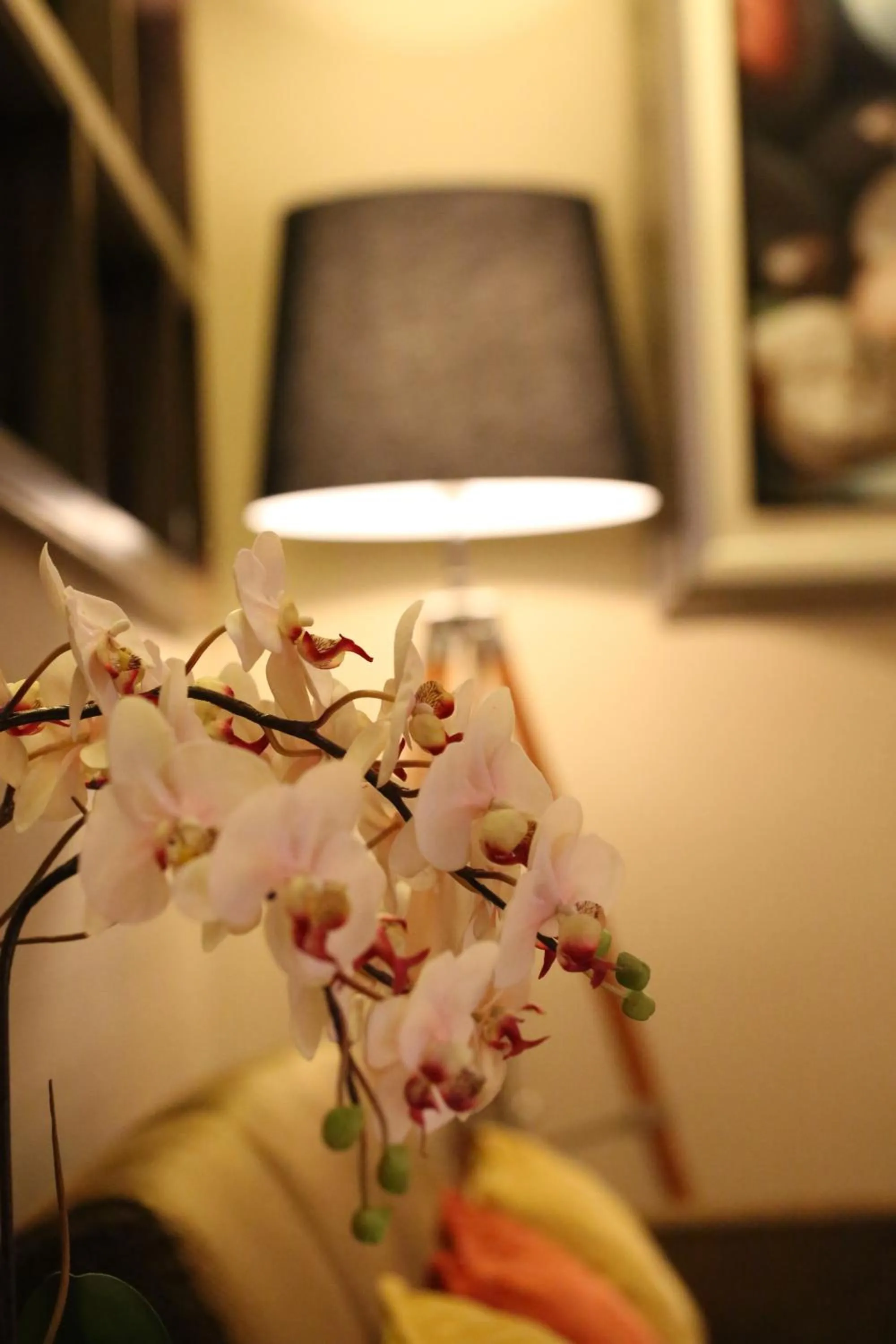 Lobby or reception in The Dawin Hotel