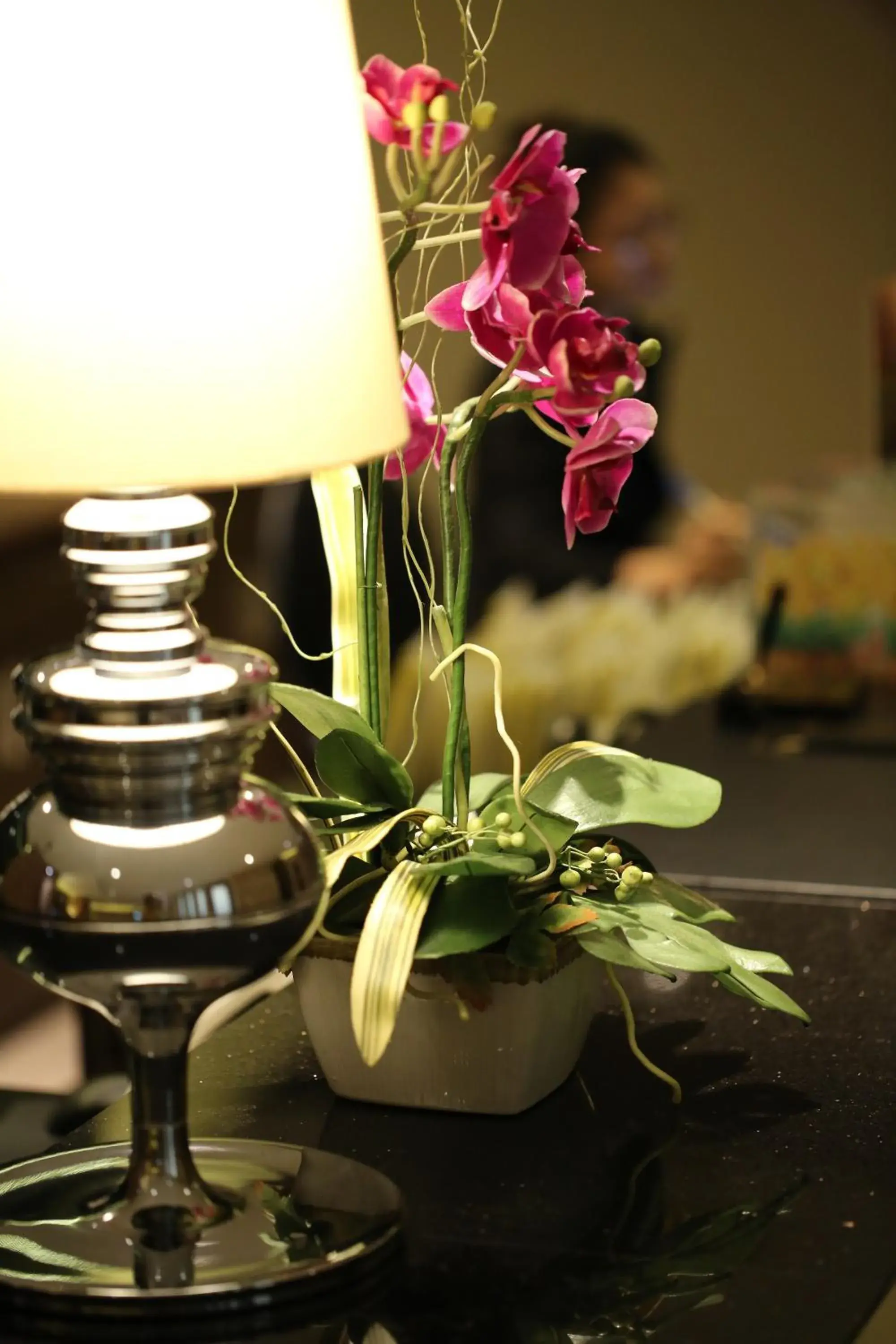 Lobby or reception in The Dawin Hotel Lobby or reception in The Dawin Hotel