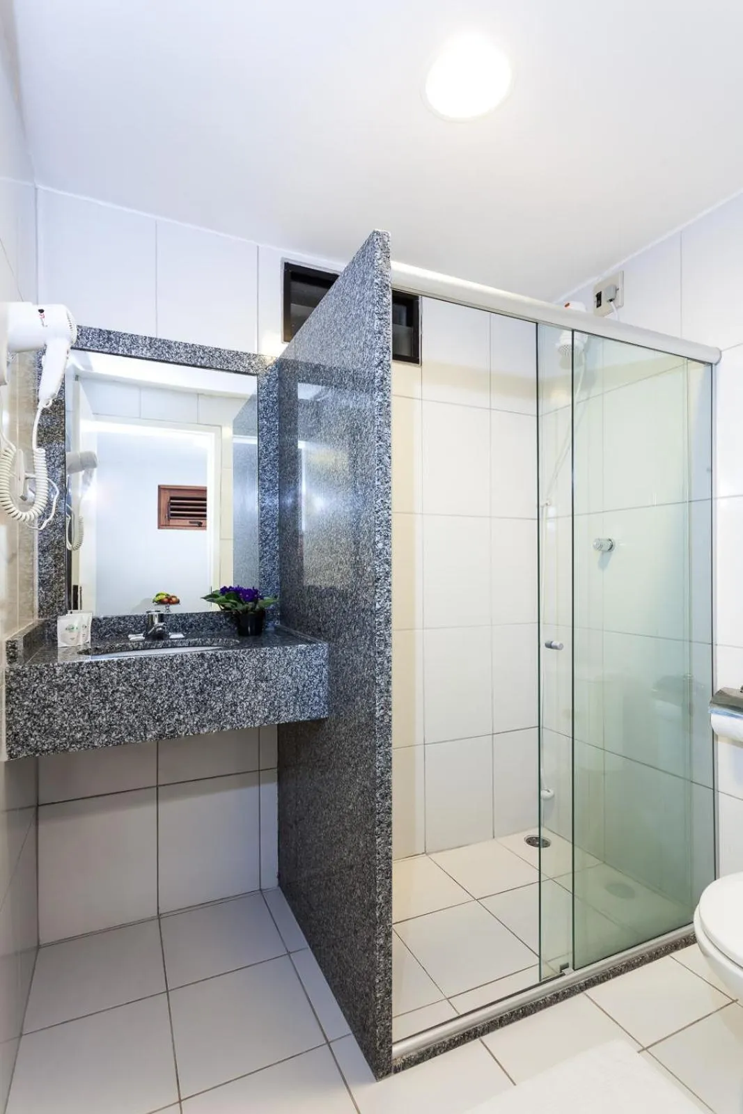 Shower in Hotel Tavares Correia