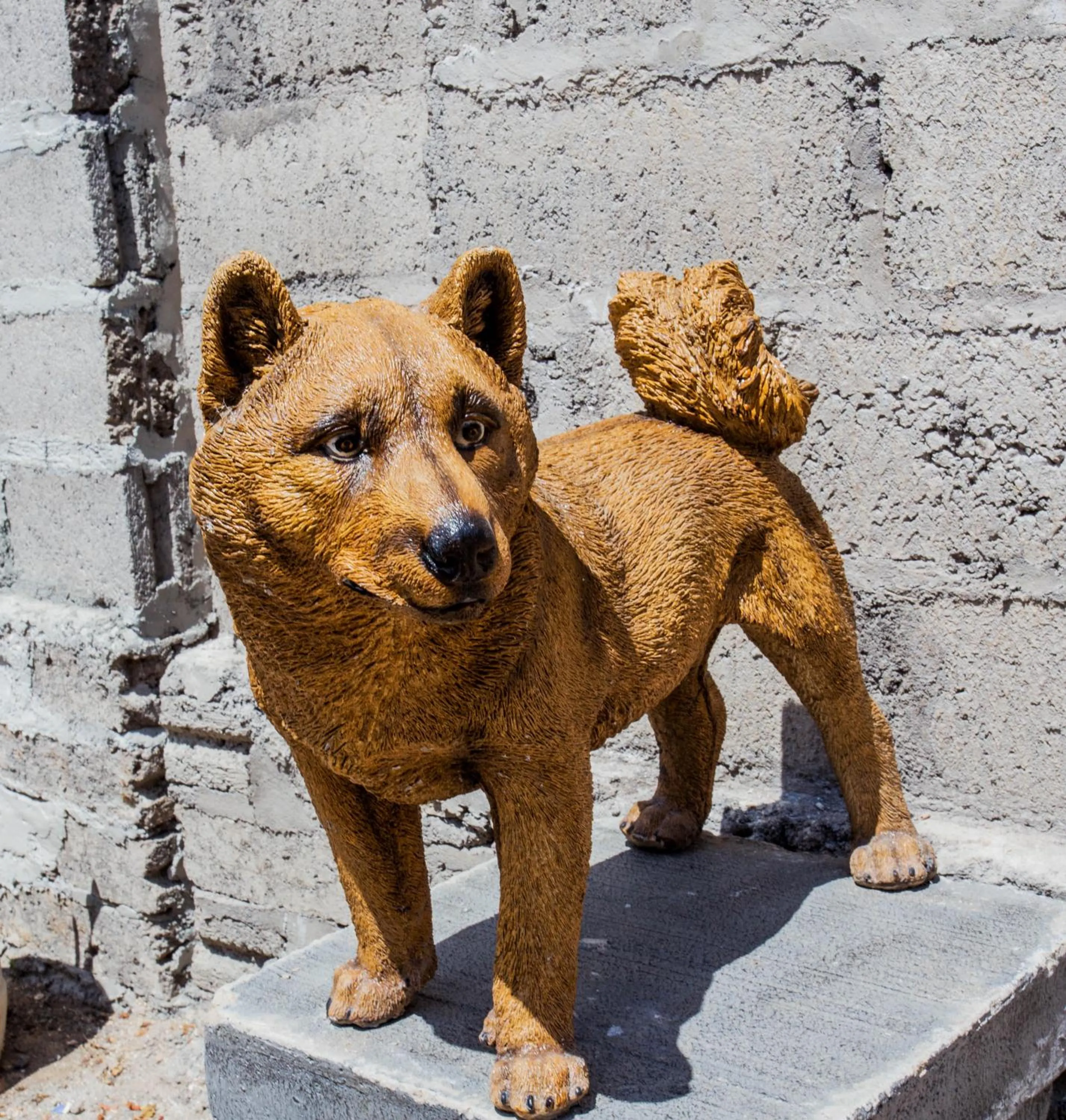 Pets in 221 Garden Cottages