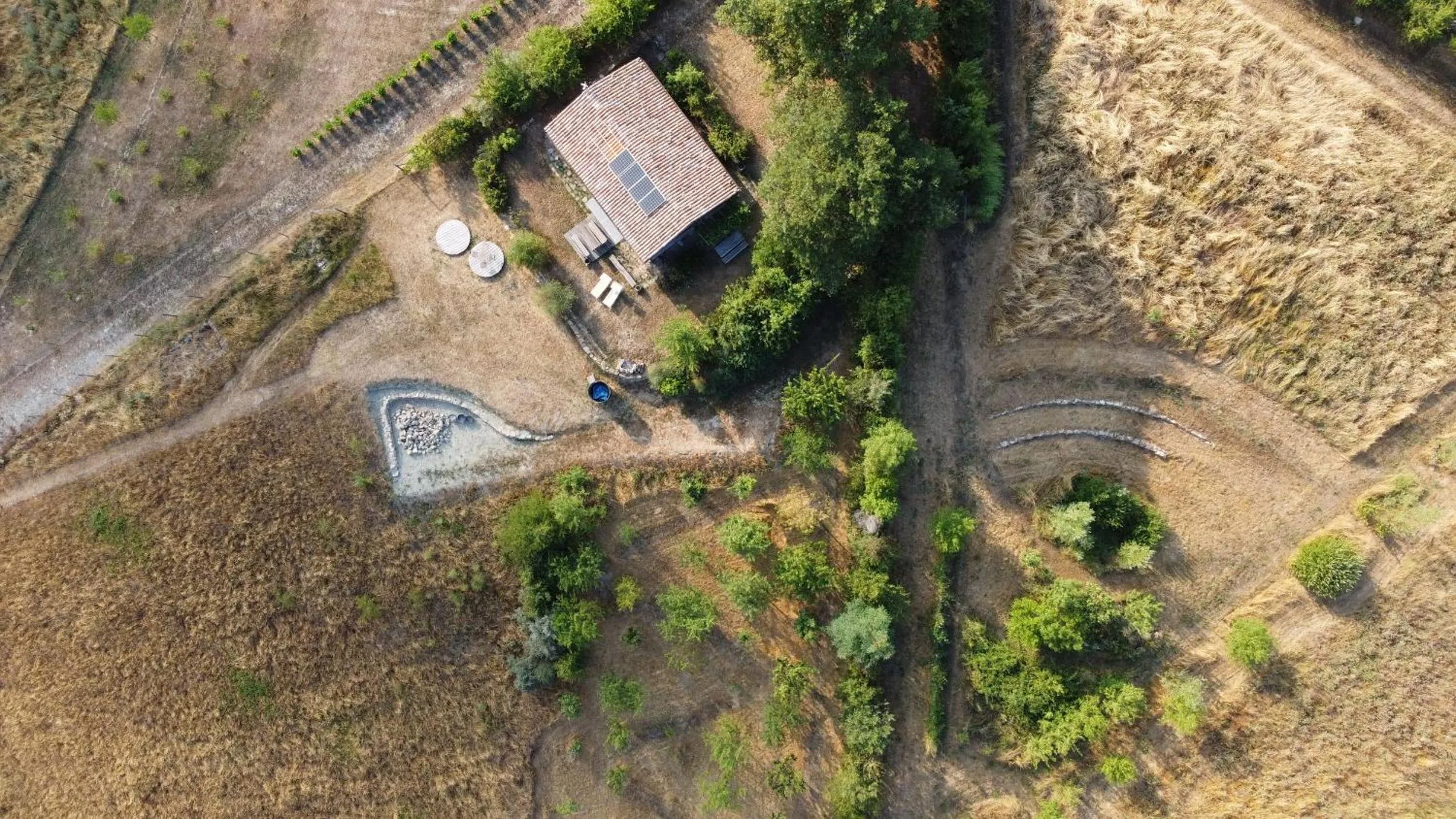 Natural landscape in Chalet Il Bosco dei Mille Frutti