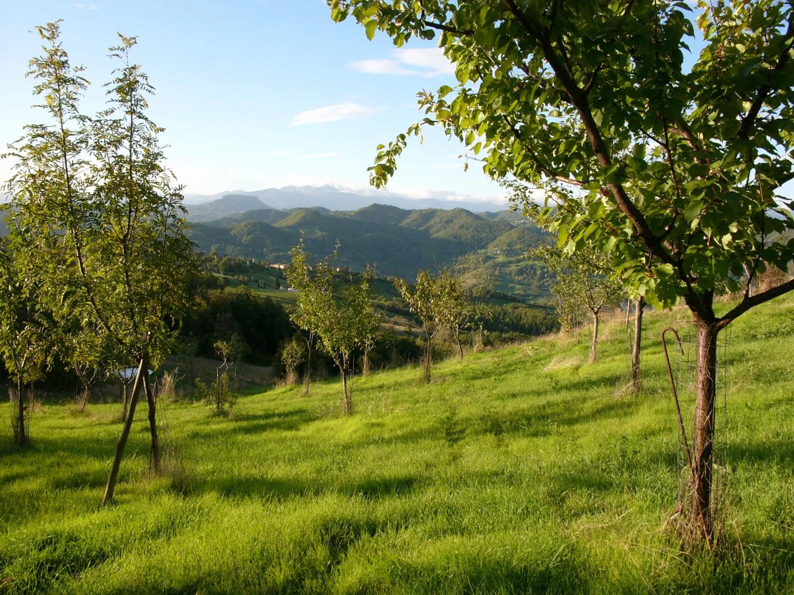 Natural landscape in Chalet Il Bosco dei Mille Frutti