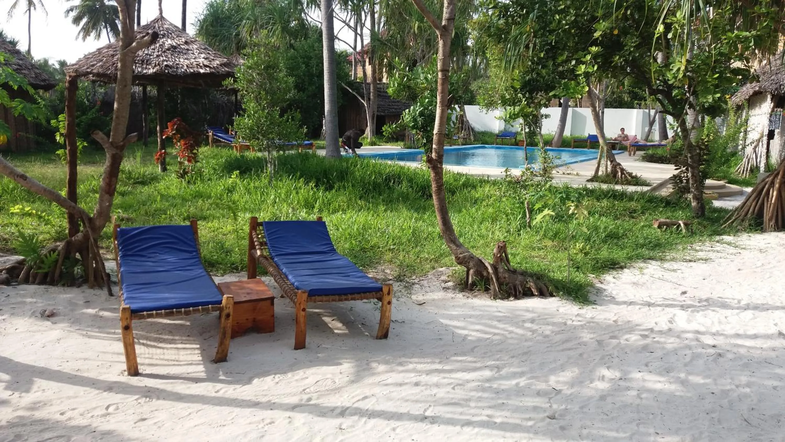 Garden in Laguna Palace Zanzibar