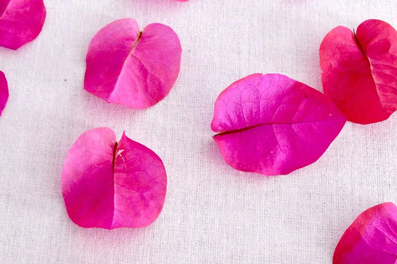 Decorative detail in Laguna Palace Zanzibar
