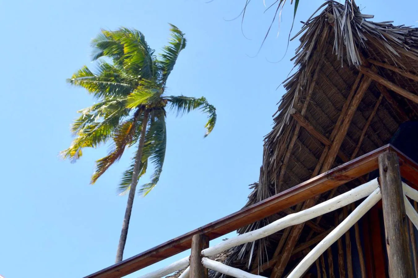 Day in Laguna Palace Zanzibar