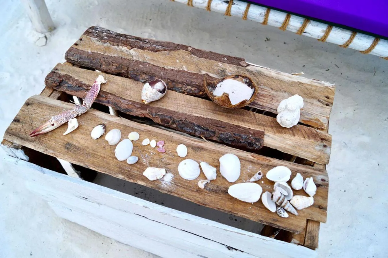 Beach in Laguna Palace Zanzibar