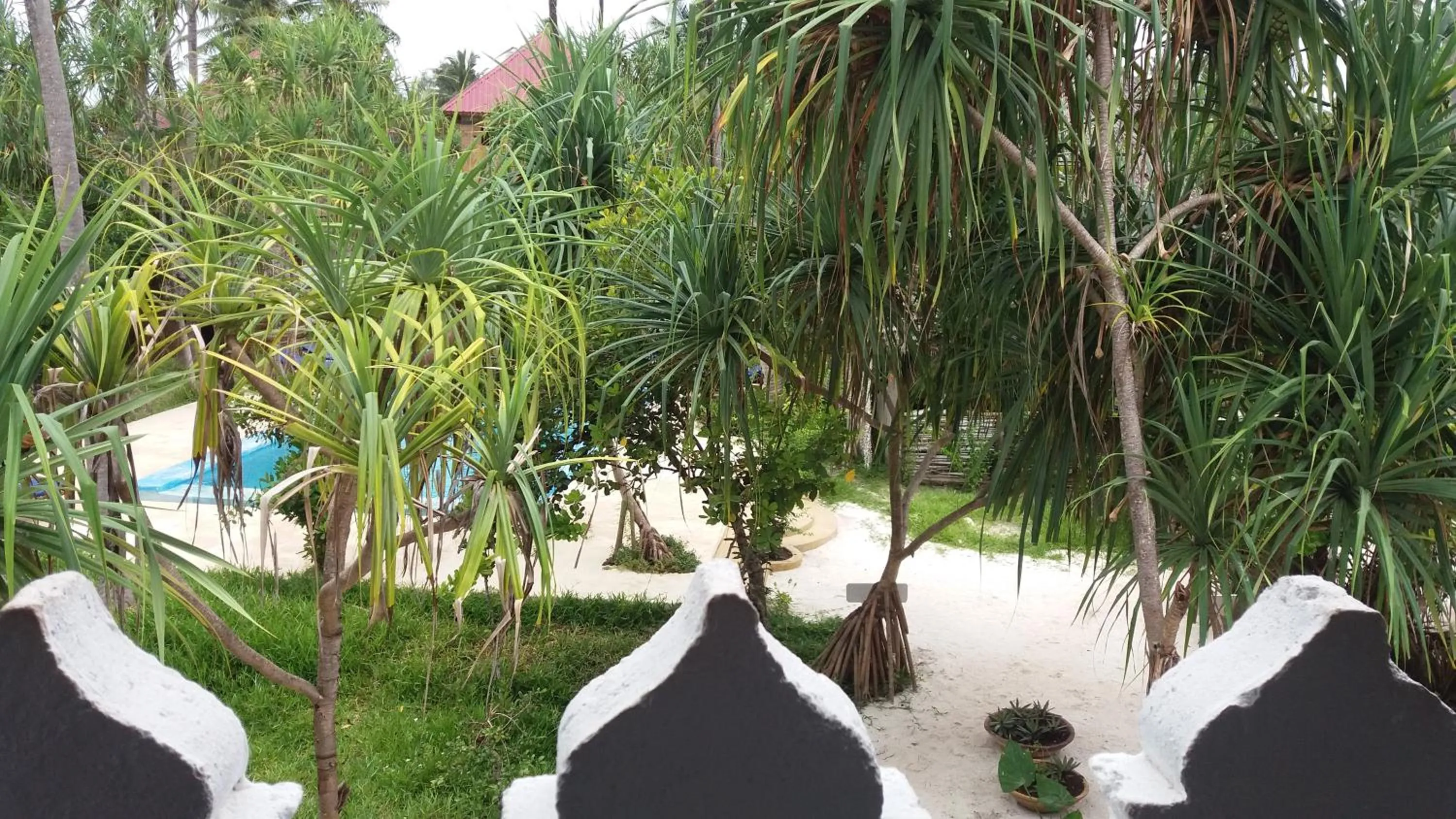 Garden view in Laguna Palace Zanzibar