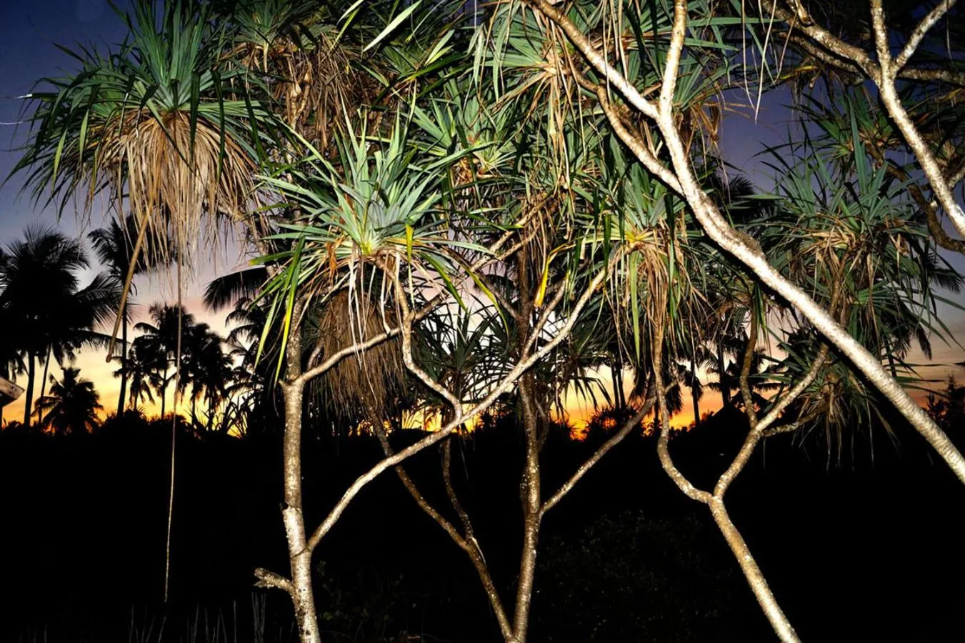Night in Laguna Palace Zanzibar