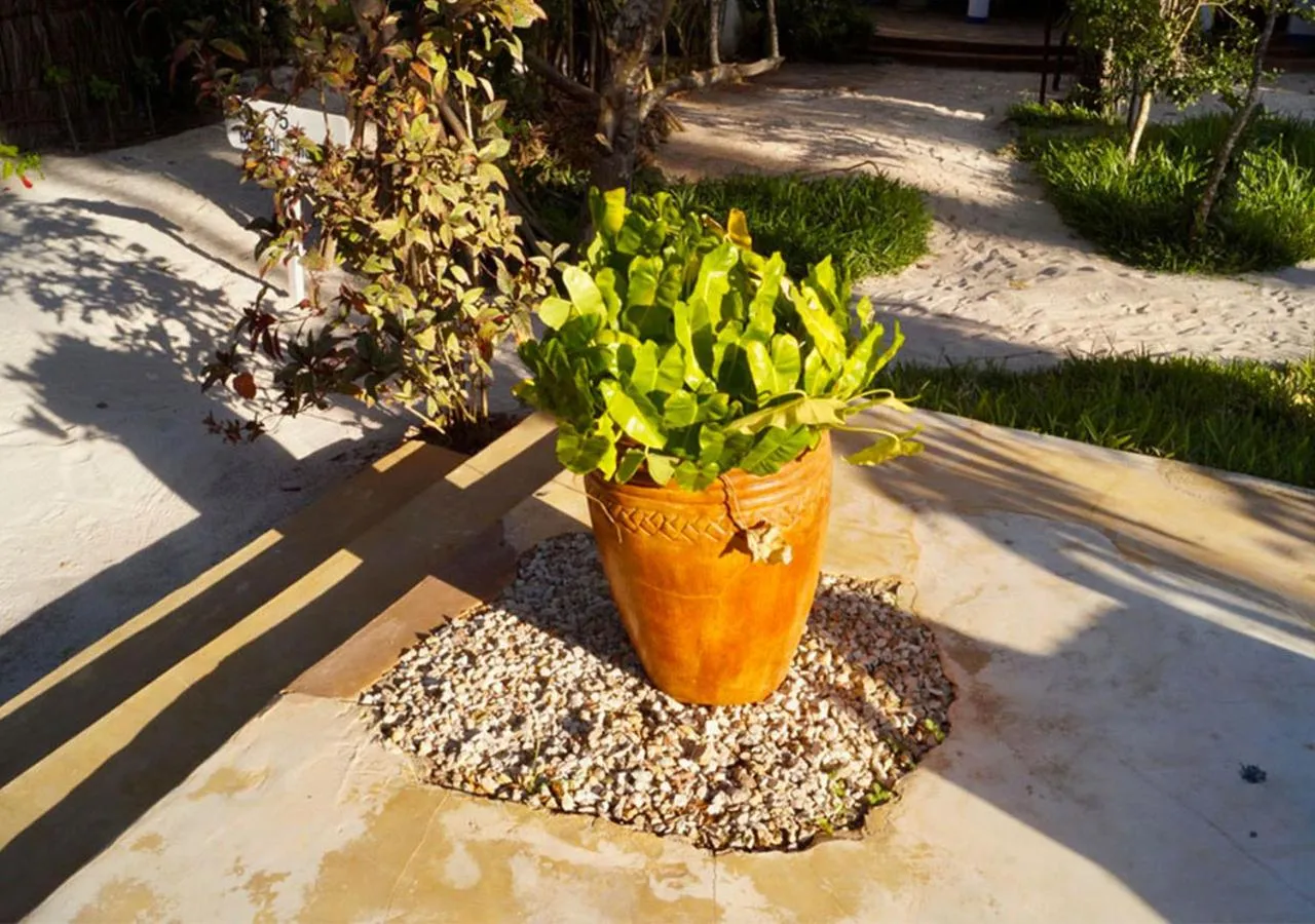Garden view in Laguna Palace Zanzibar