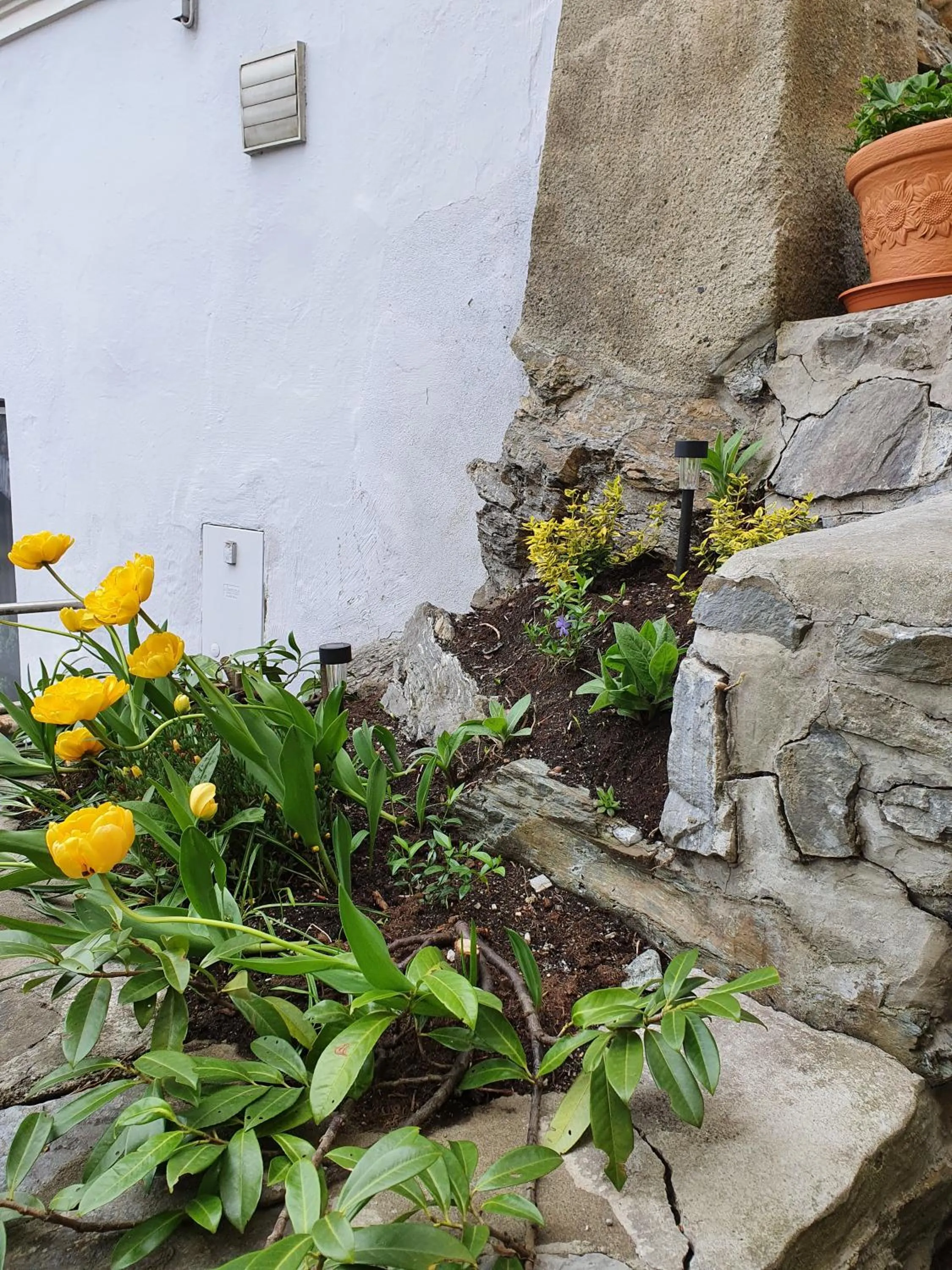 Facade/entrance in Hotel Alpin Murau