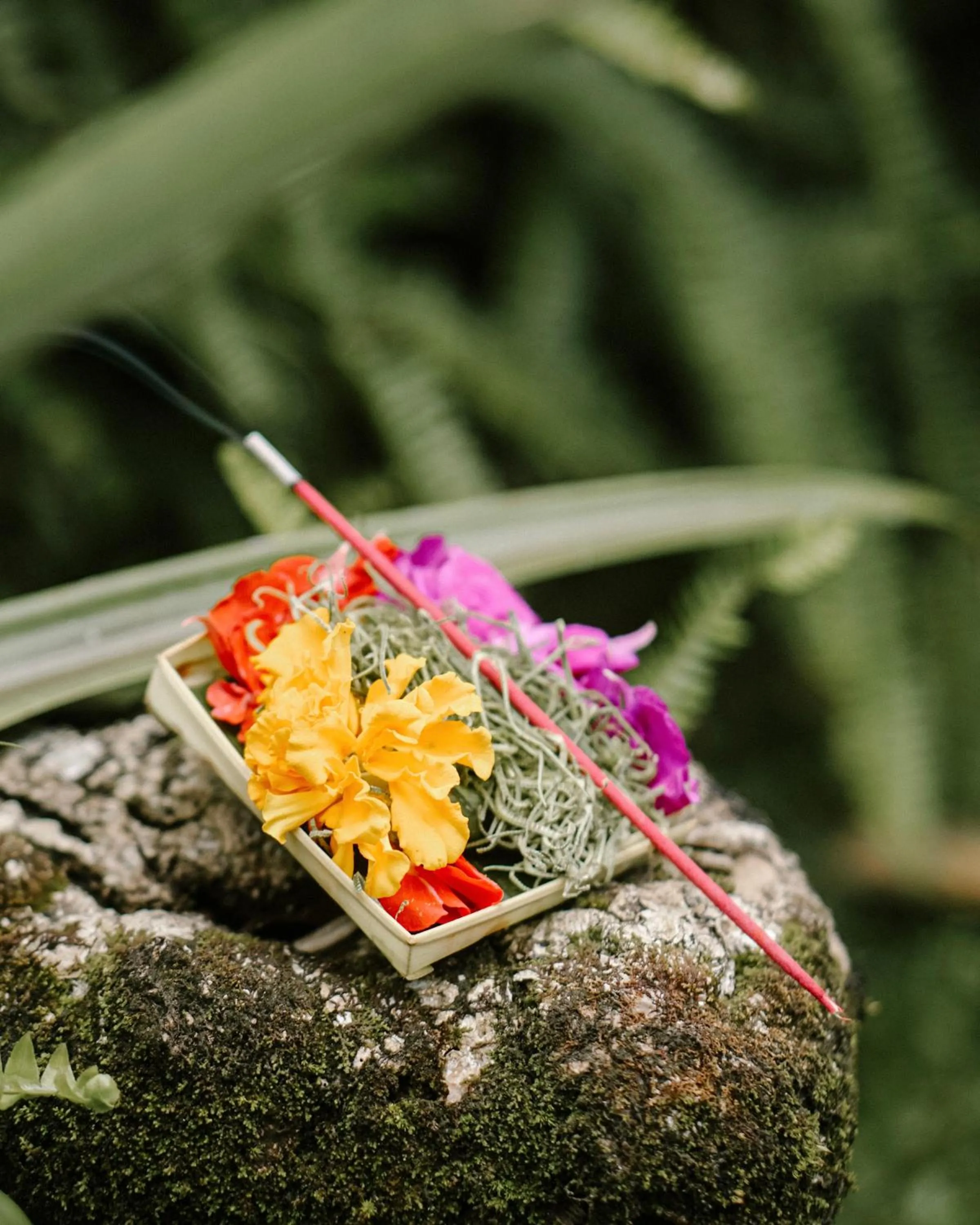 Activities in Song Broek Bali