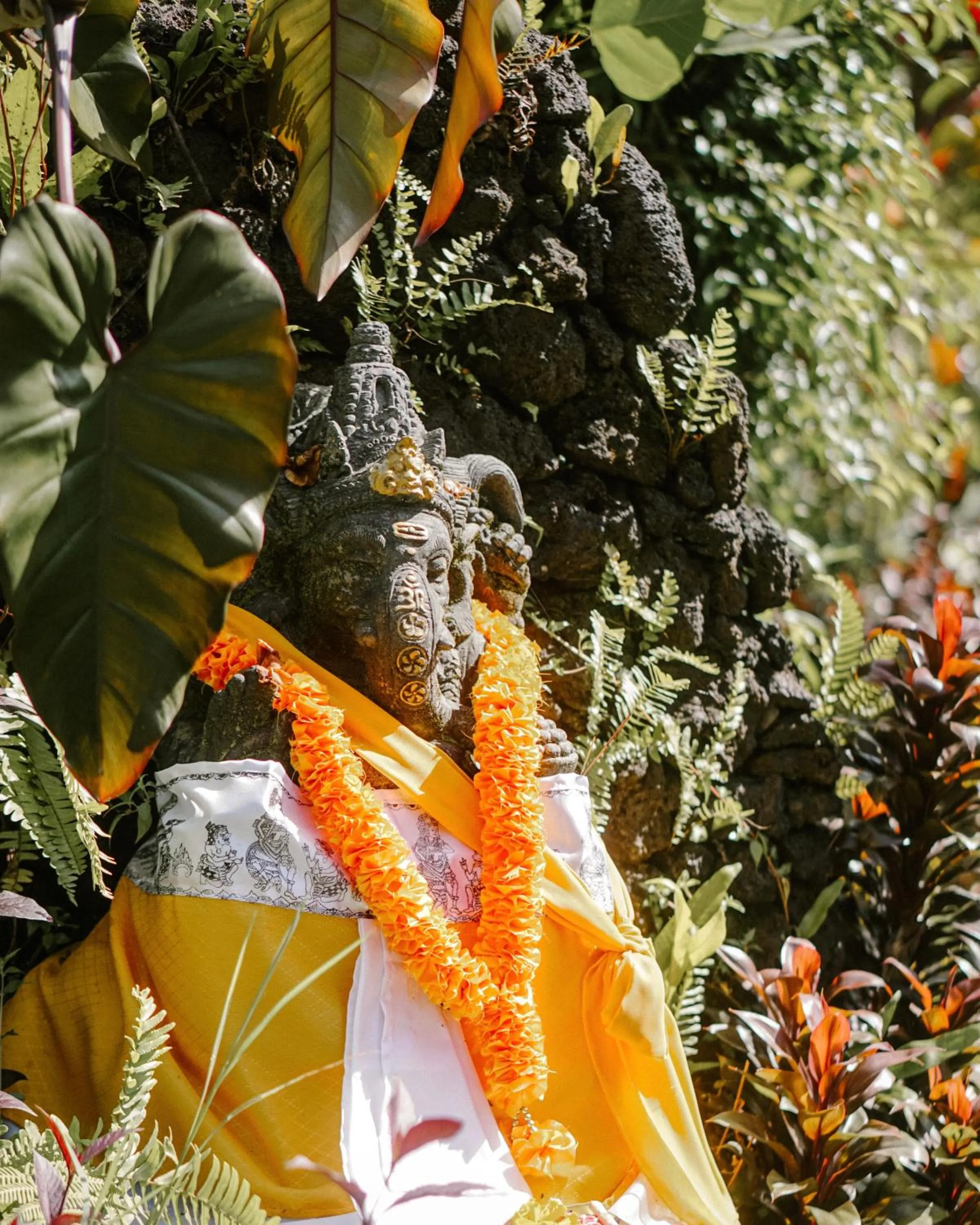 Other in Song Broek Bali