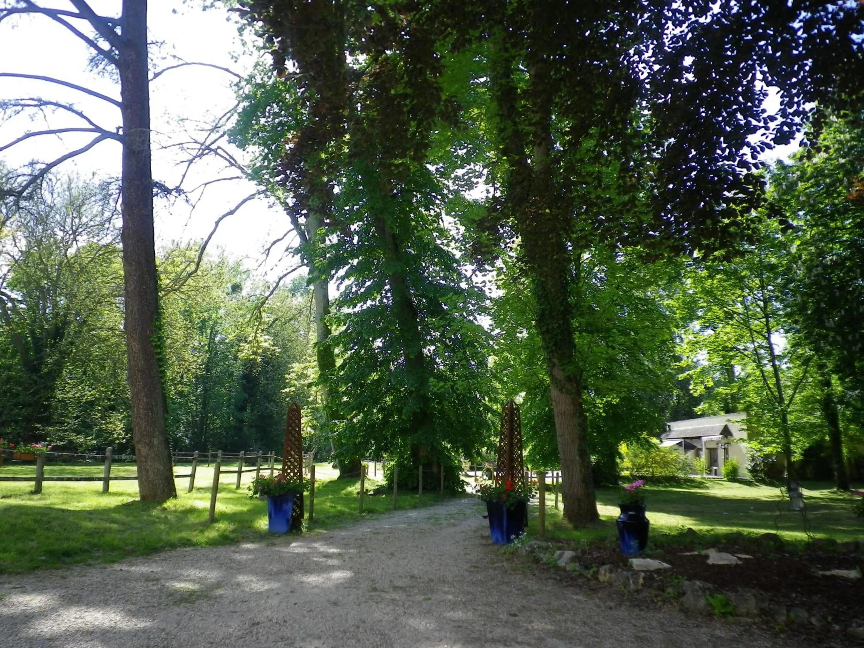 Natural landscape in Hôtellerie Nouvelle de Villemartin