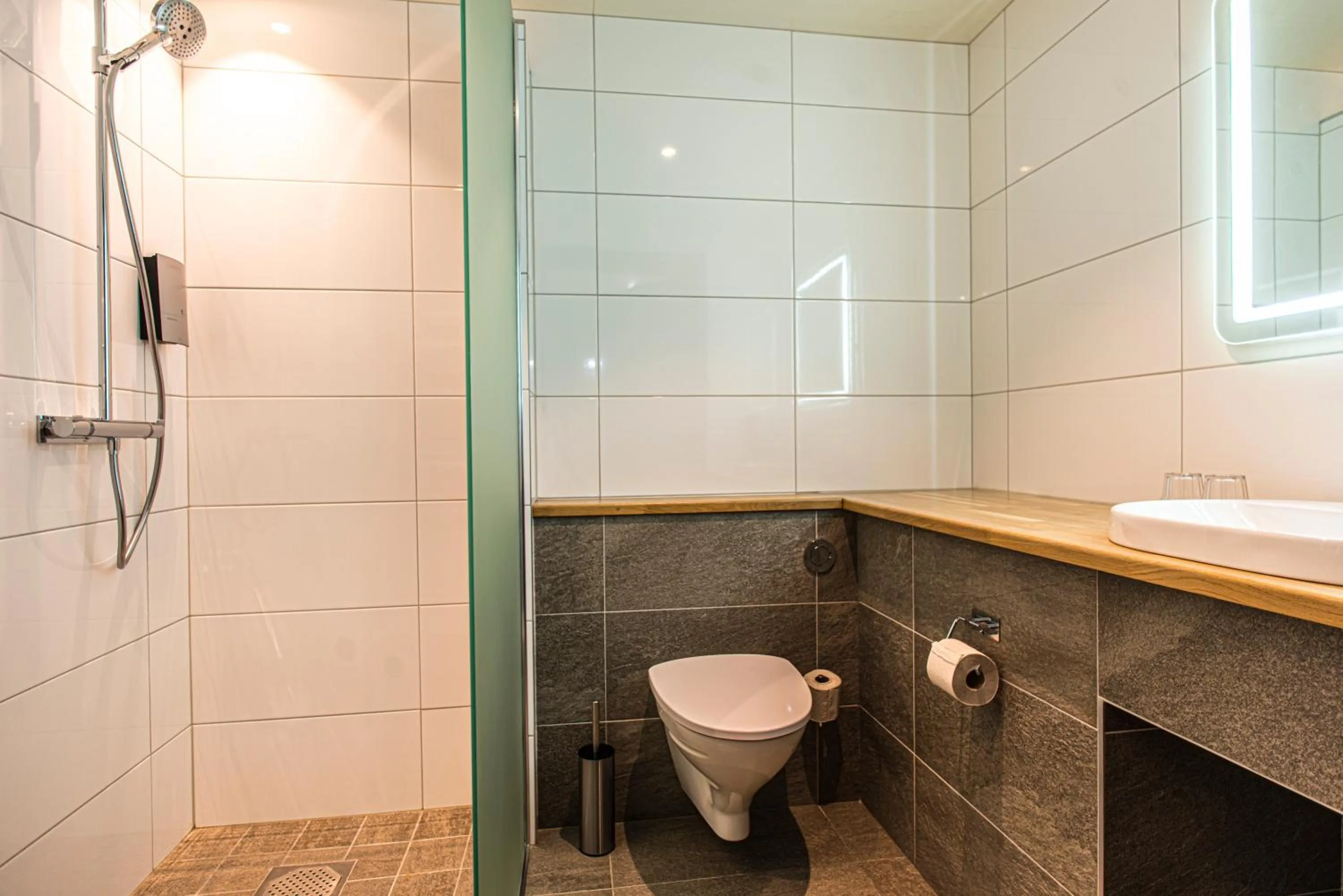 Toilet in Eriksgårdens Fjällhotell