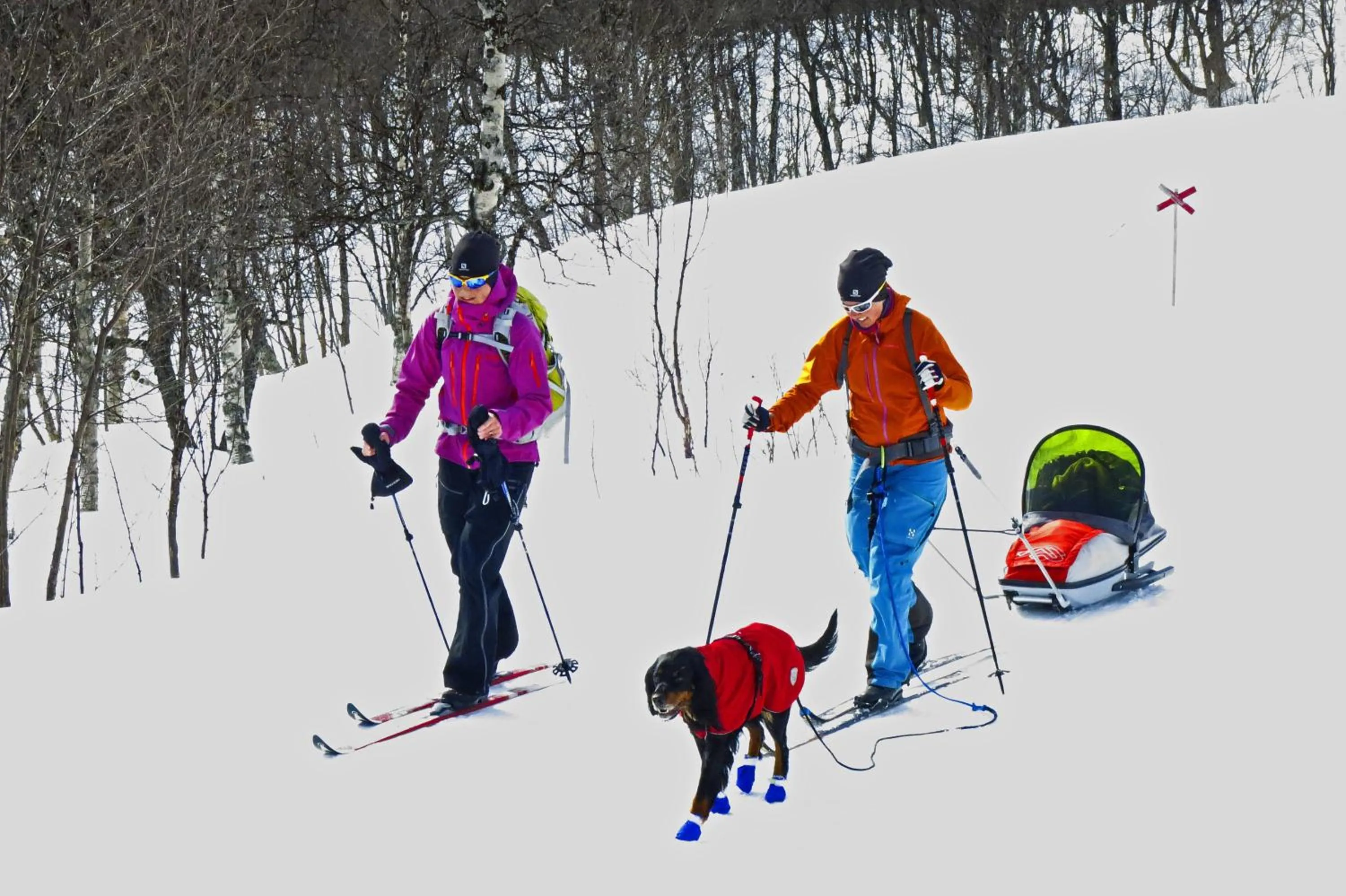 Skiing in Eriksgårdens Fjällhotell