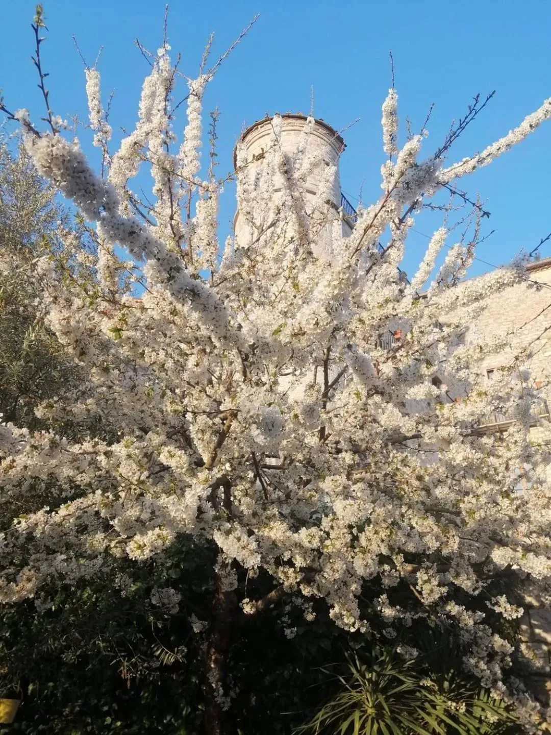 Landmark view in B&B Vicidomini
