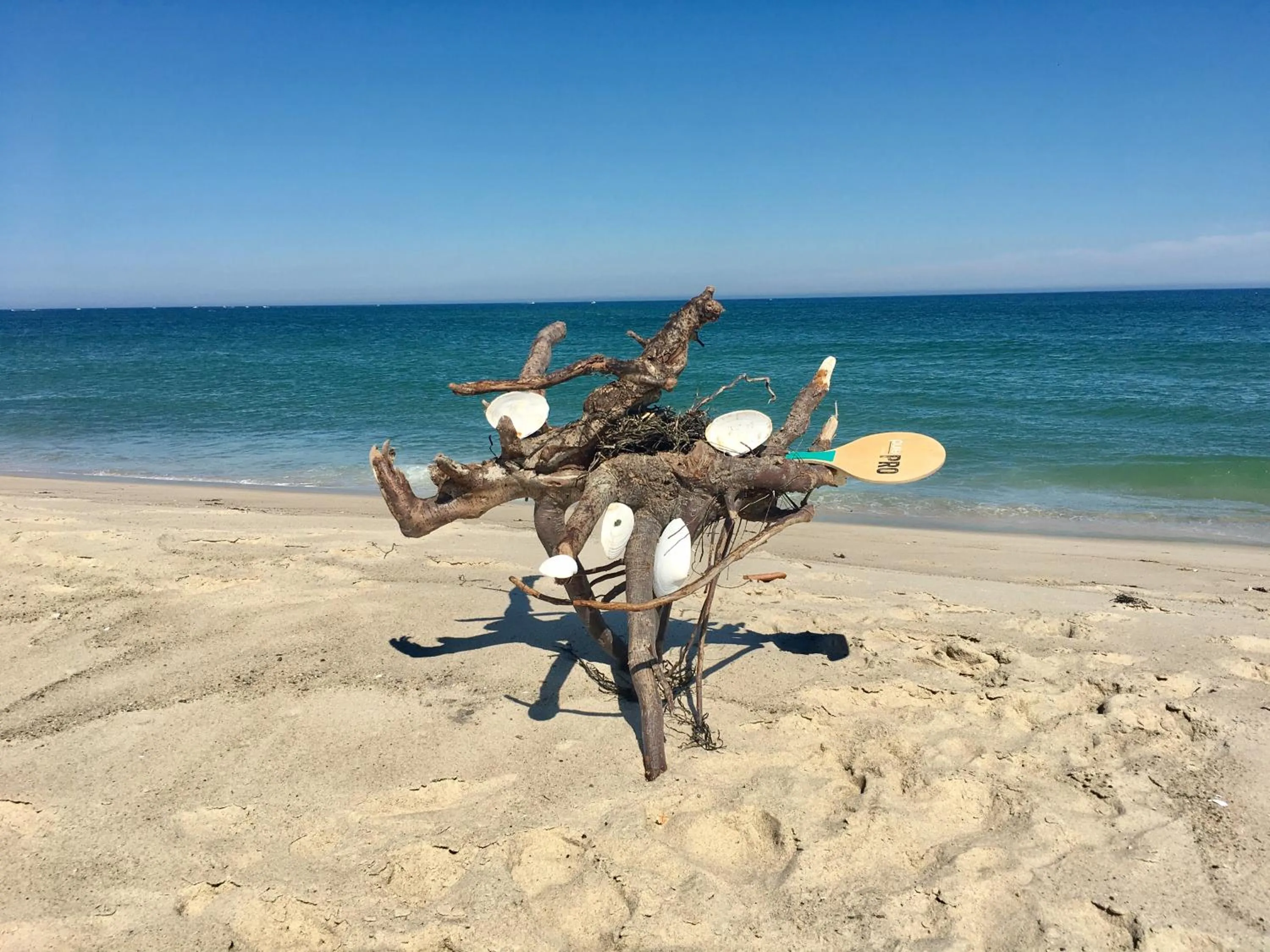 Beach in Queen Anne Inn