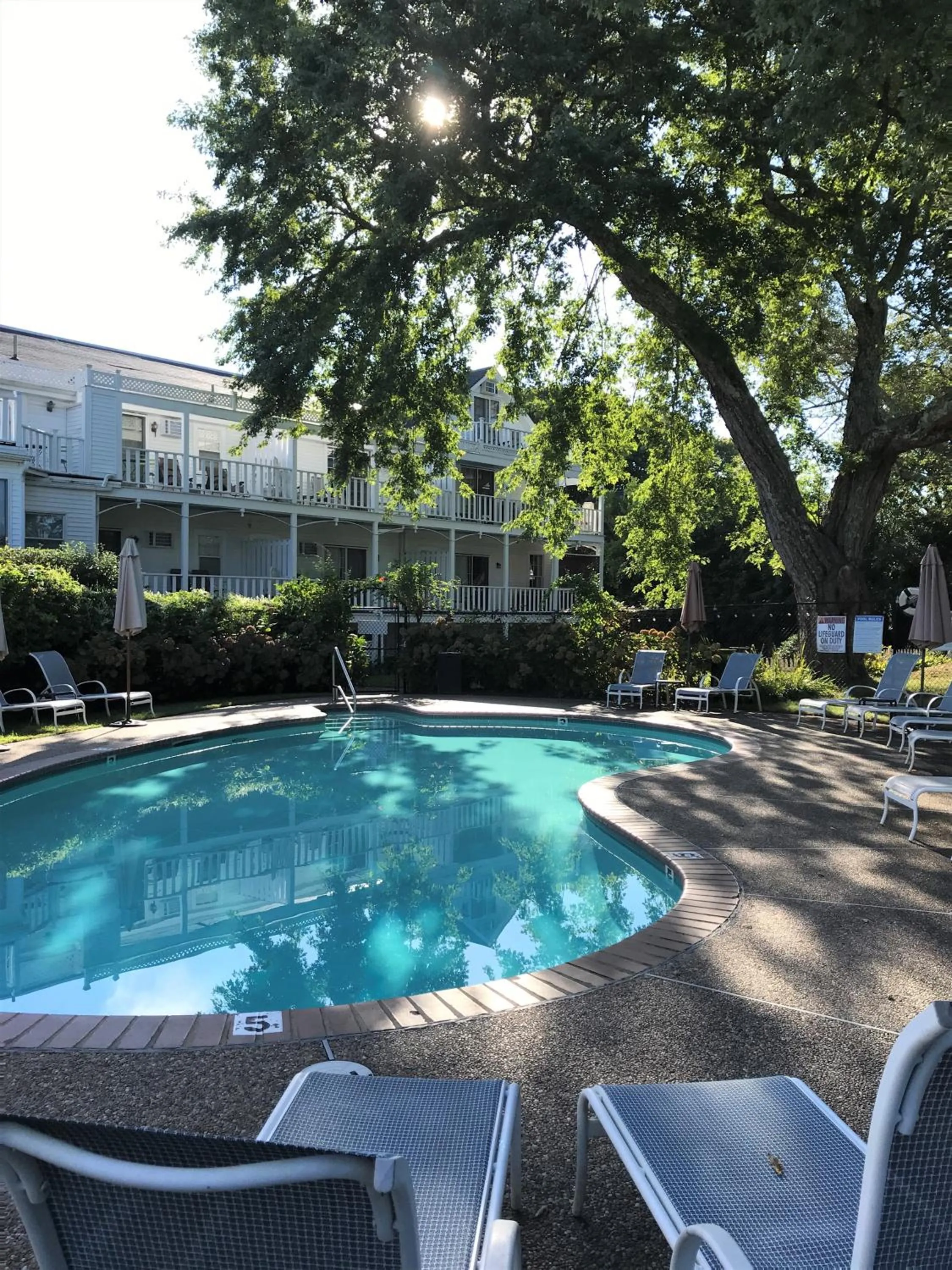Swimming pool in Queen Anne Inn