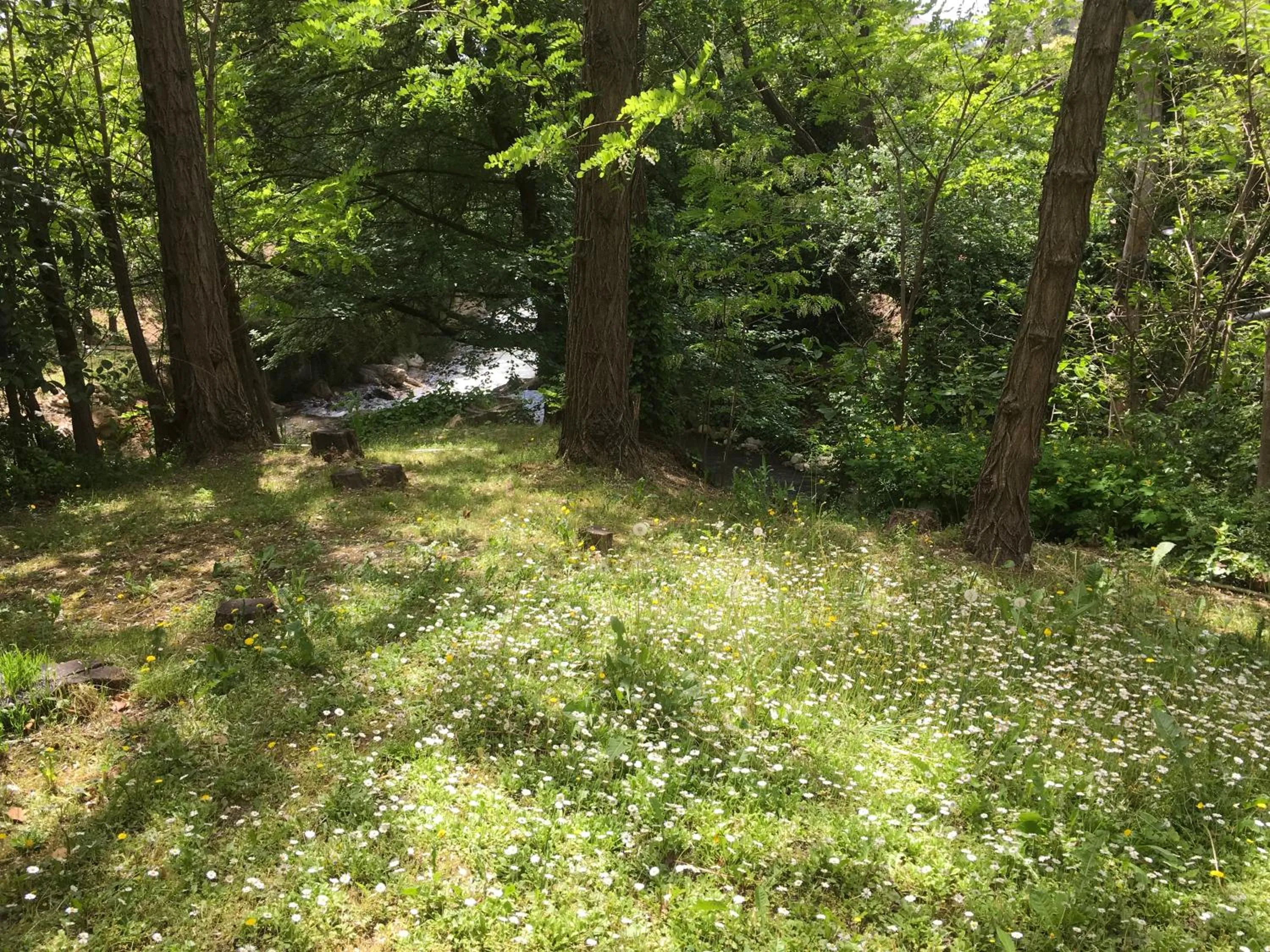 River view in Hotel Bel Alp Manosque