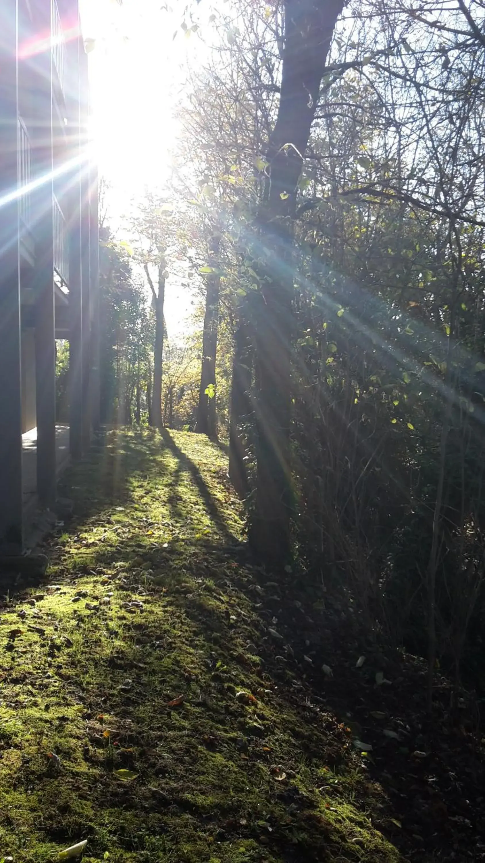 Twin Room in Hotel Bel Alp Manosque Twin Room in Hotel Bel Alp Manosque