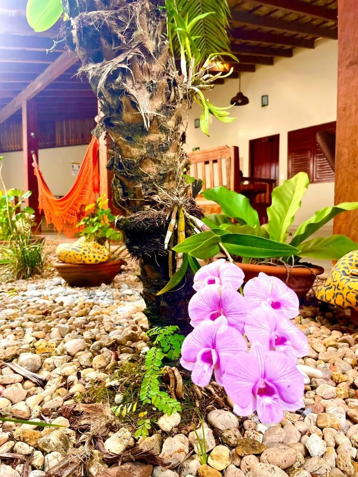 Spring in Pousada Remanso