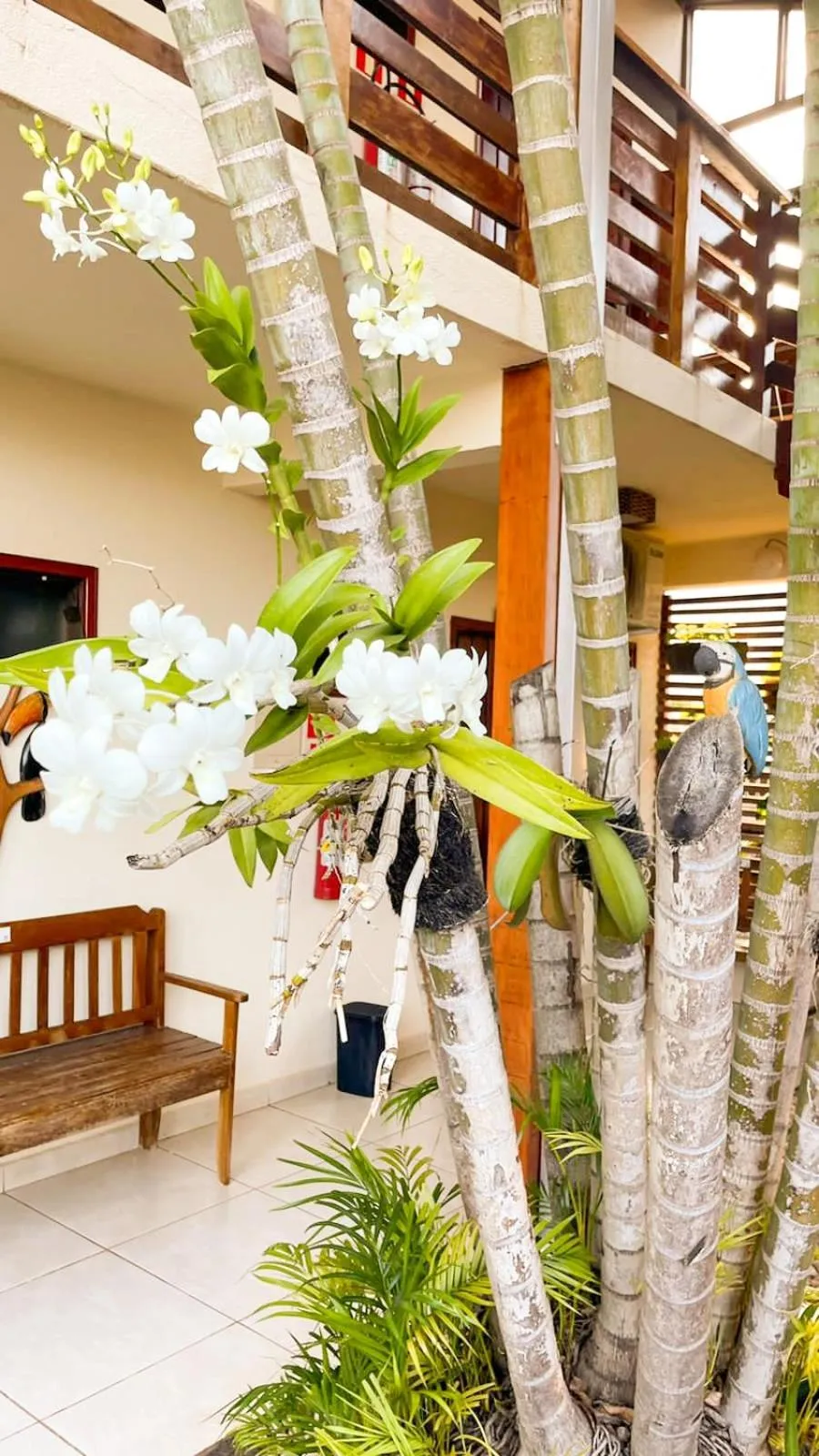 Patio in Pousada Remanso