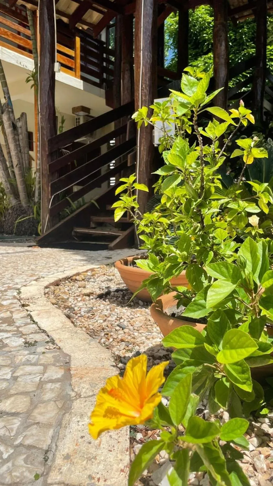 Spring in Pousada Remanso