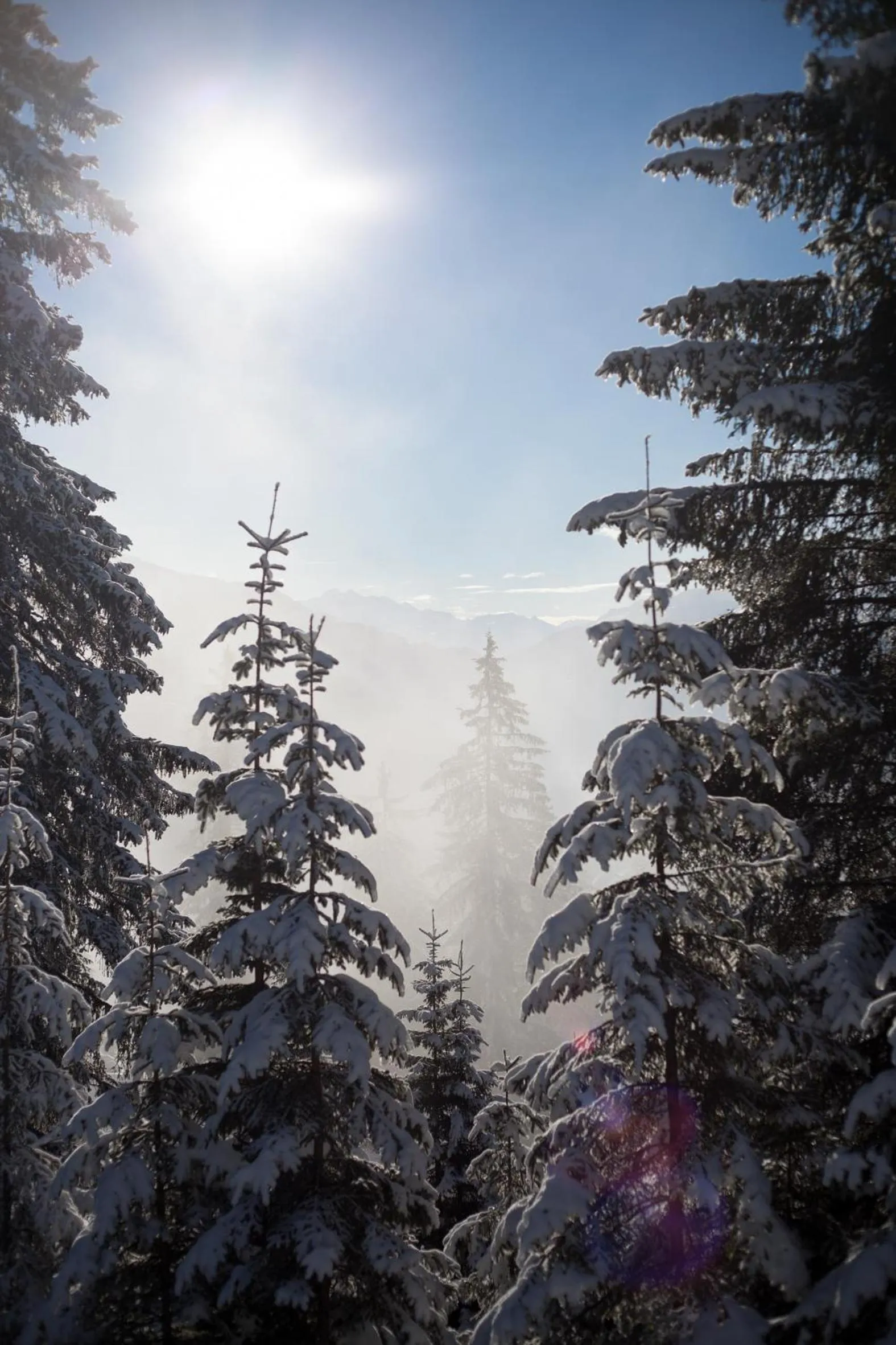 Day in Jugendherberge Trin