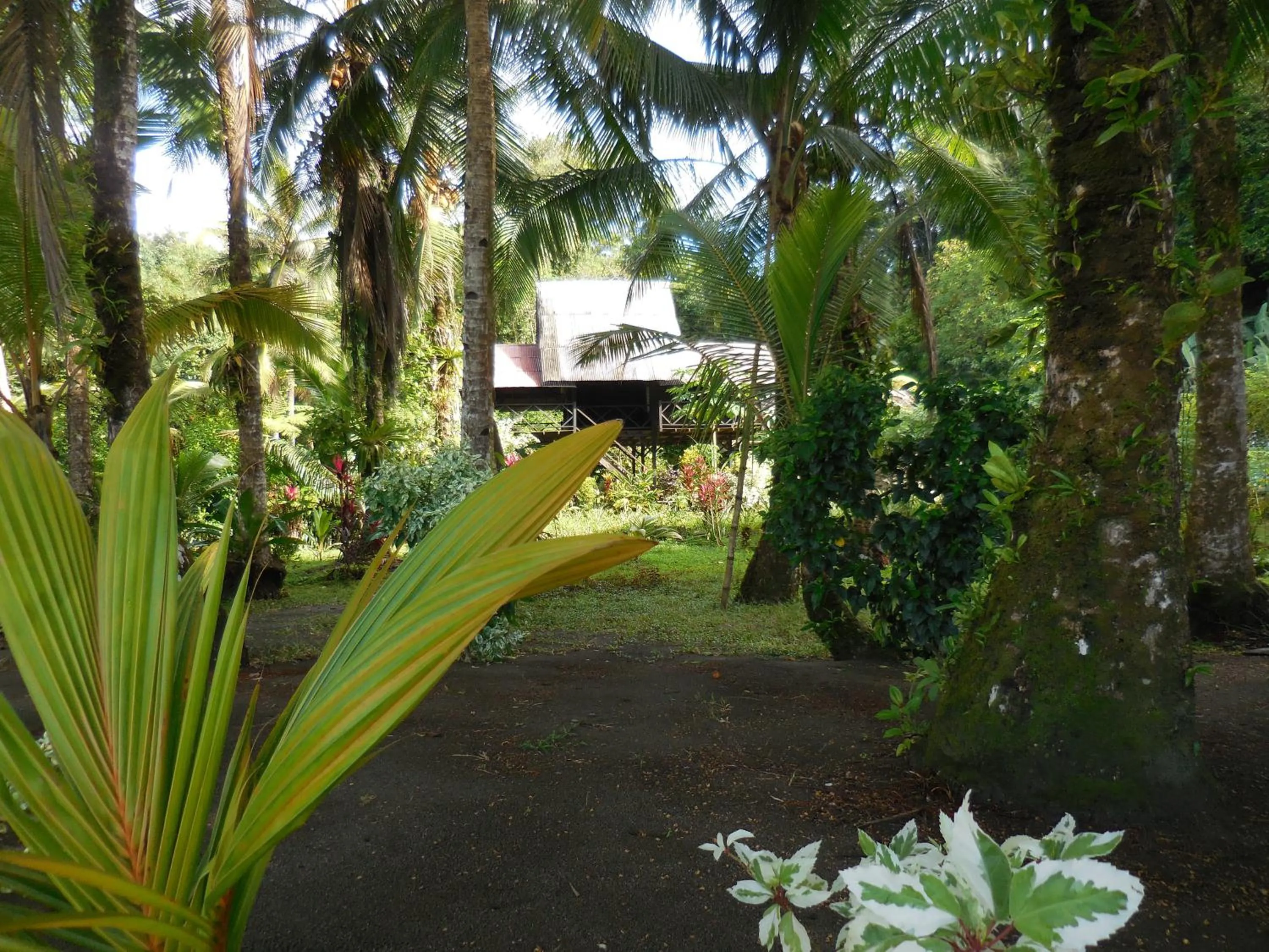 Hot Spring Bath in Hotel Nuquimar
