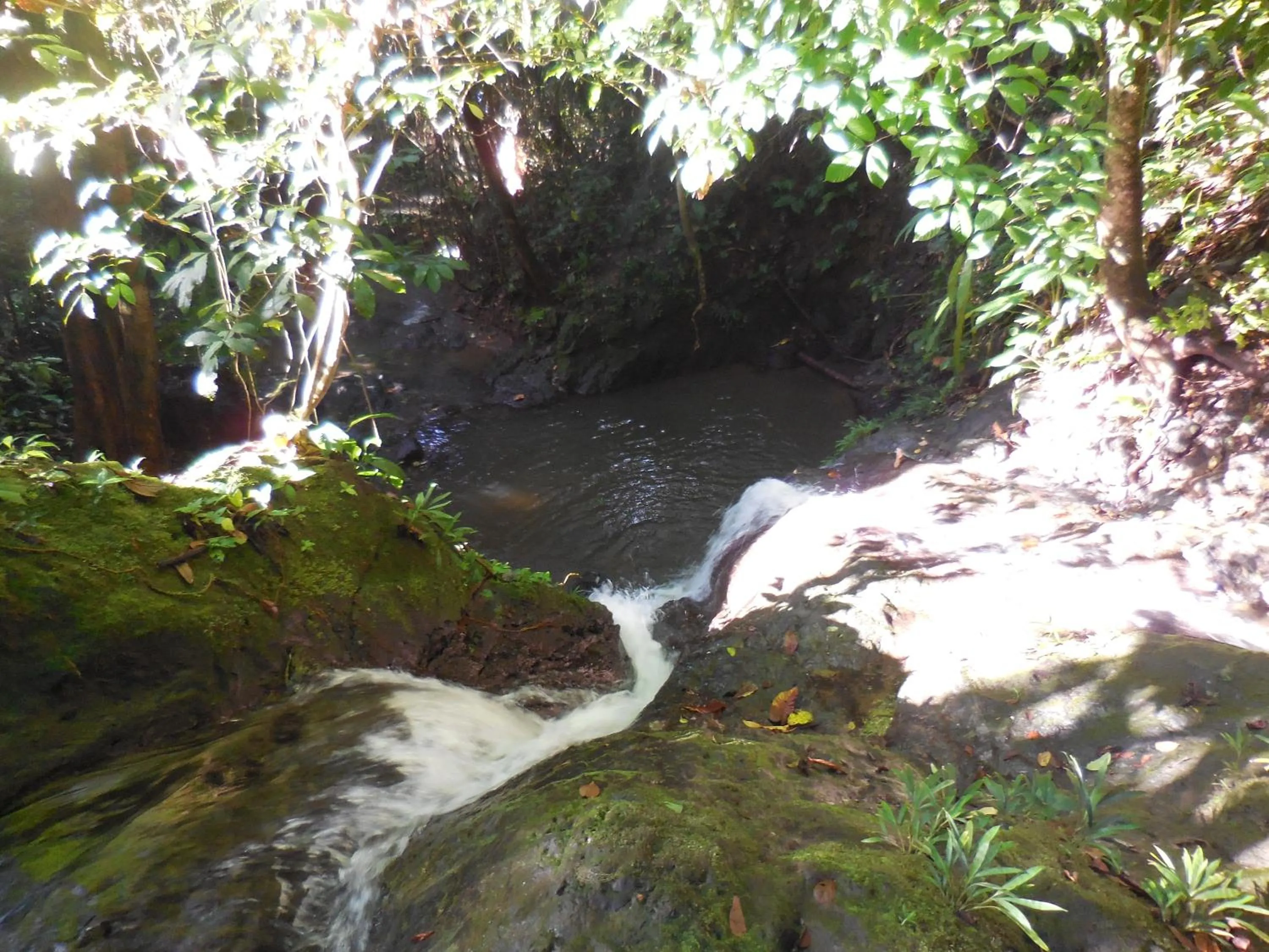 Other in Hotel Nuquimar