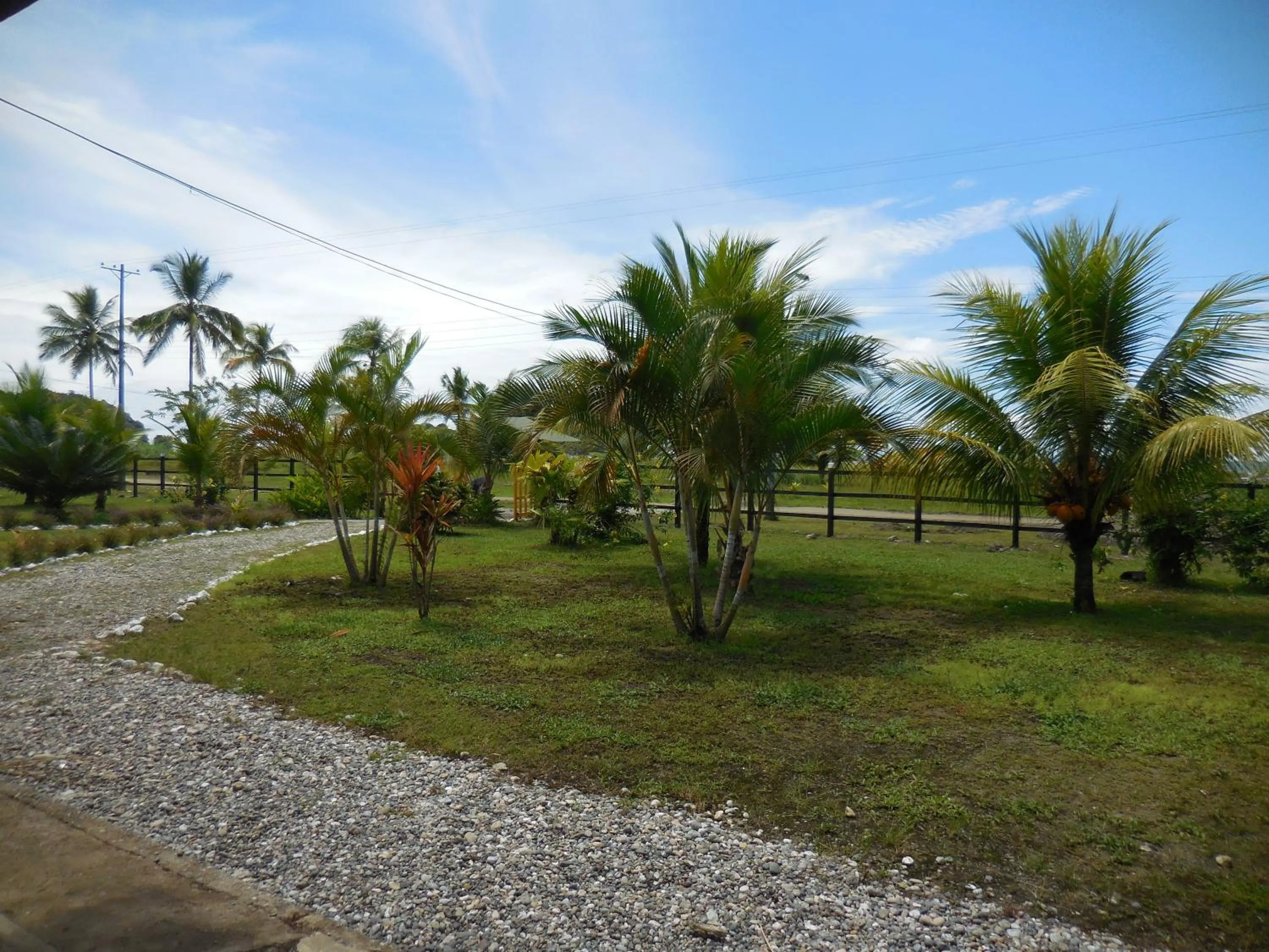 Garden in Hotel Nuquimar