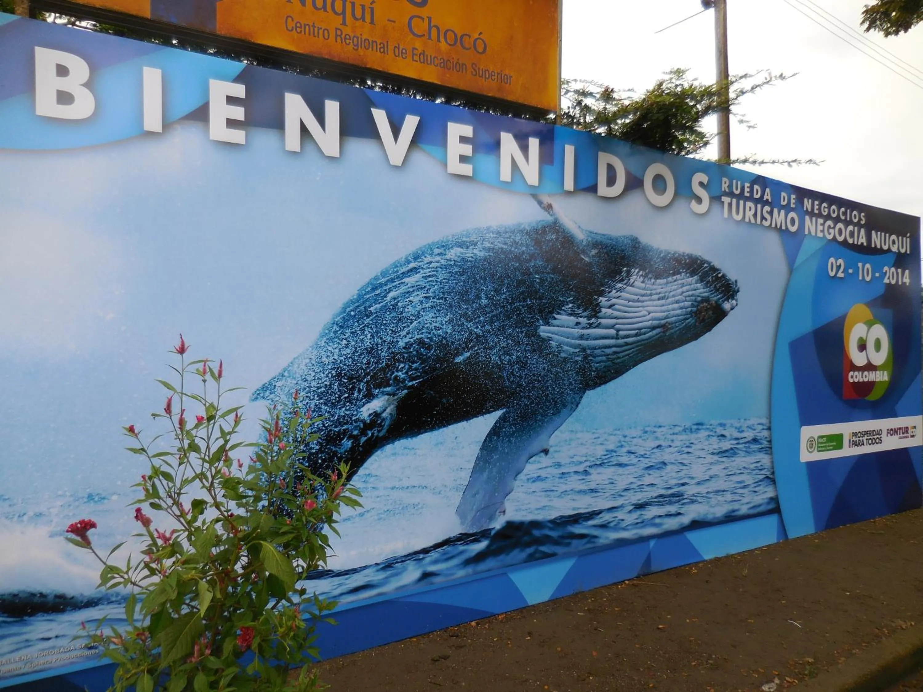 Other in Hotel Nuquimar