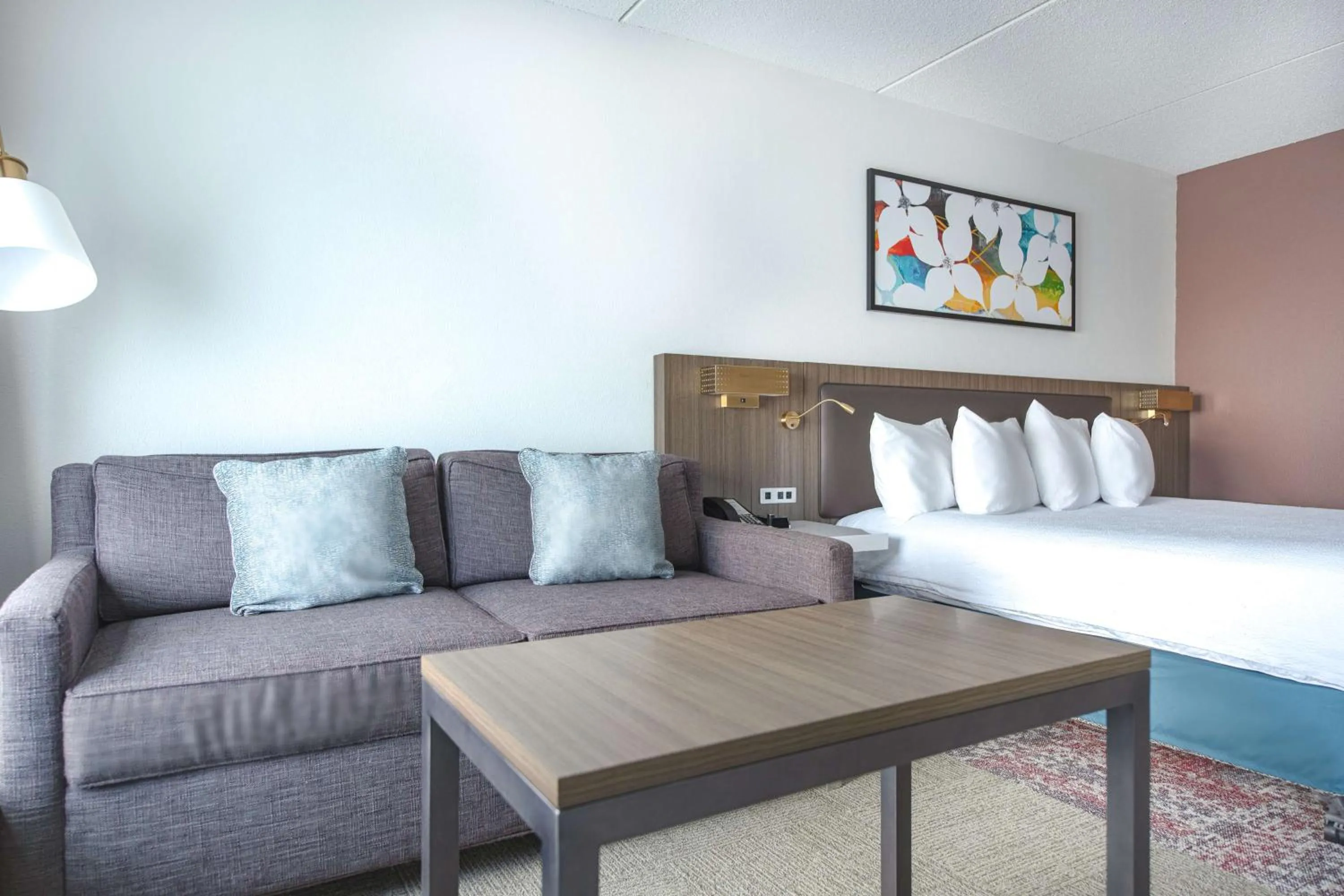 Living room, Bed in Hilton Garden Inn Newport News