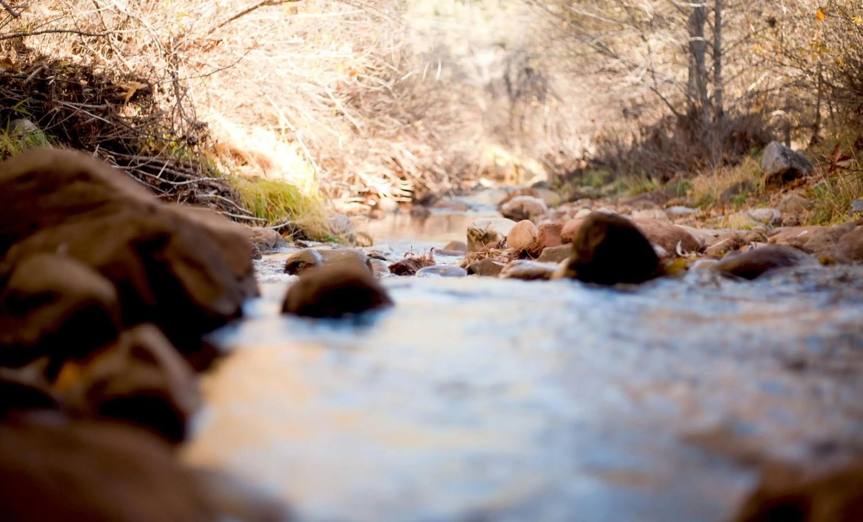 Area and facilities in Kohl's Ranch Lodge