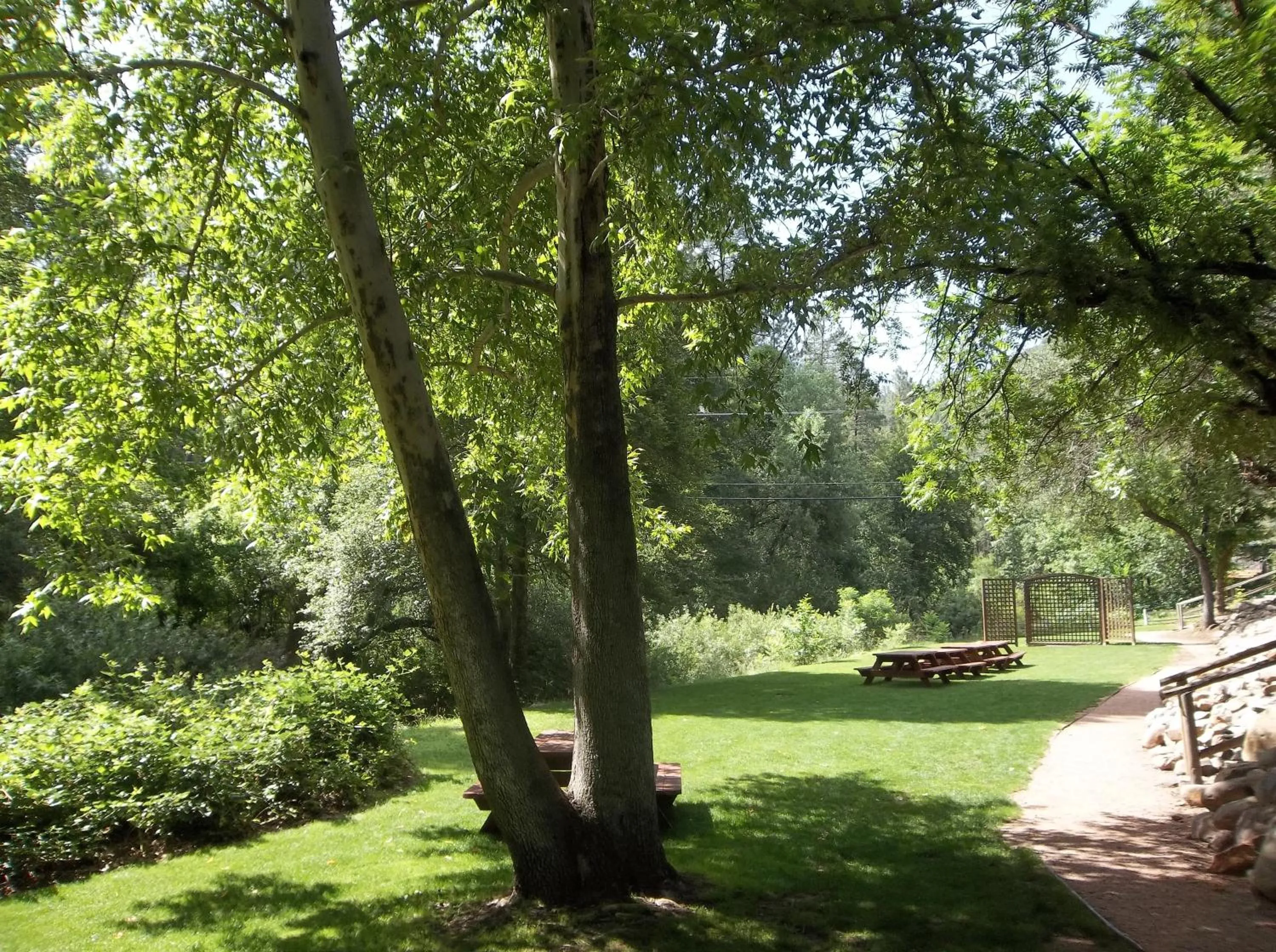 Area and facilities in Kohl's Ranch Lodge