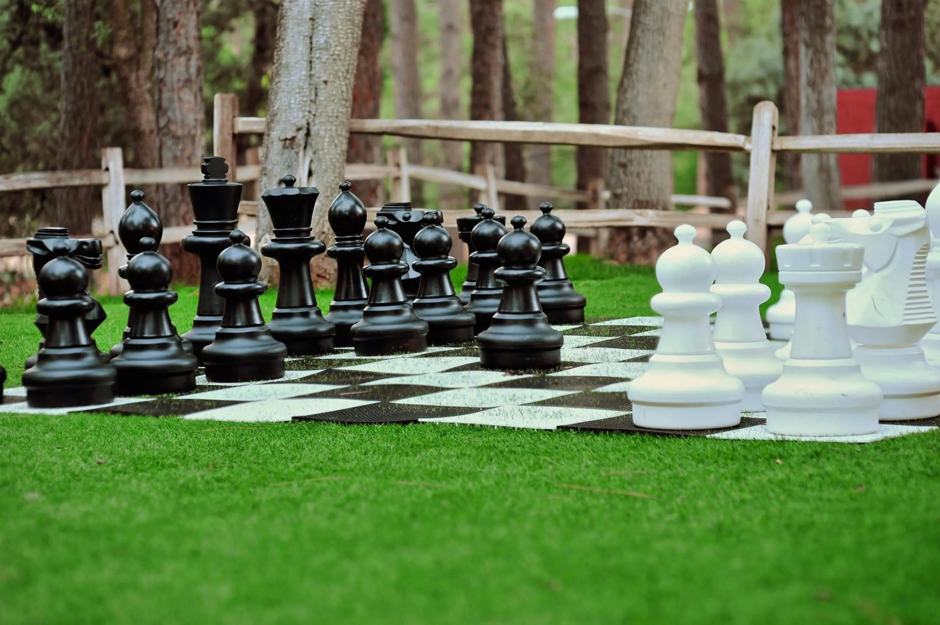 Area and facilities in Kohl's Ranch Lodge