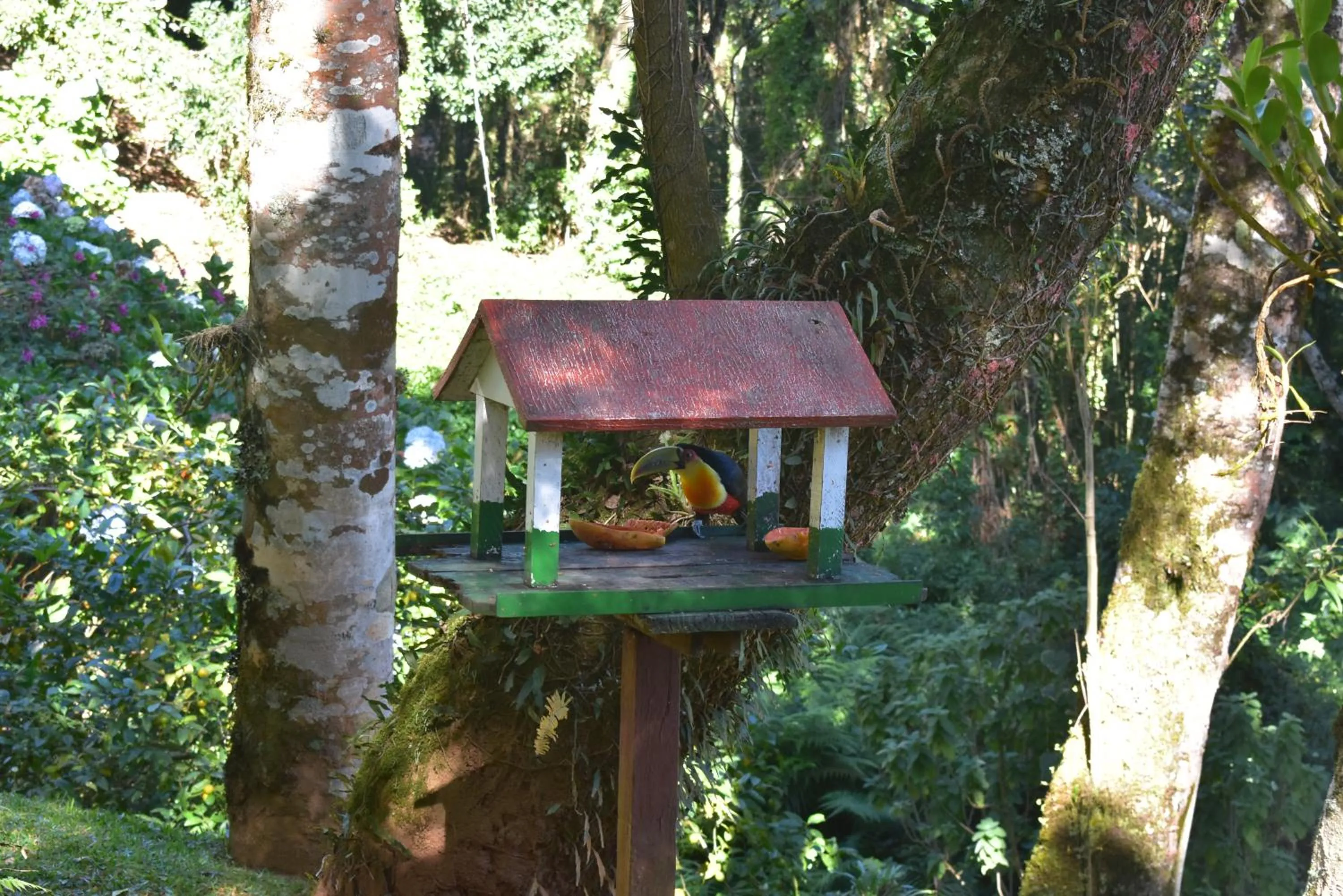 Patio in Pousada Amanita Monte Verde