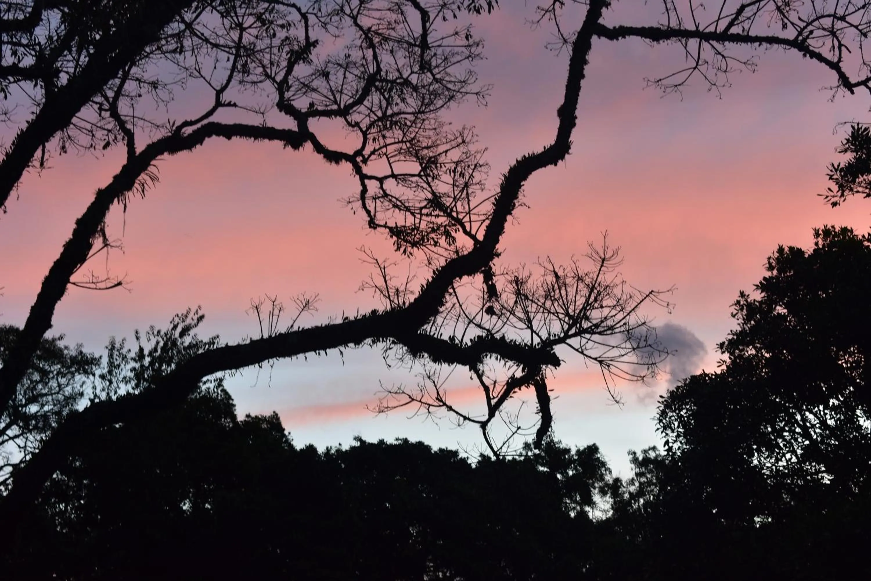 Natural landscape in Pousada Amanita Monte Verde