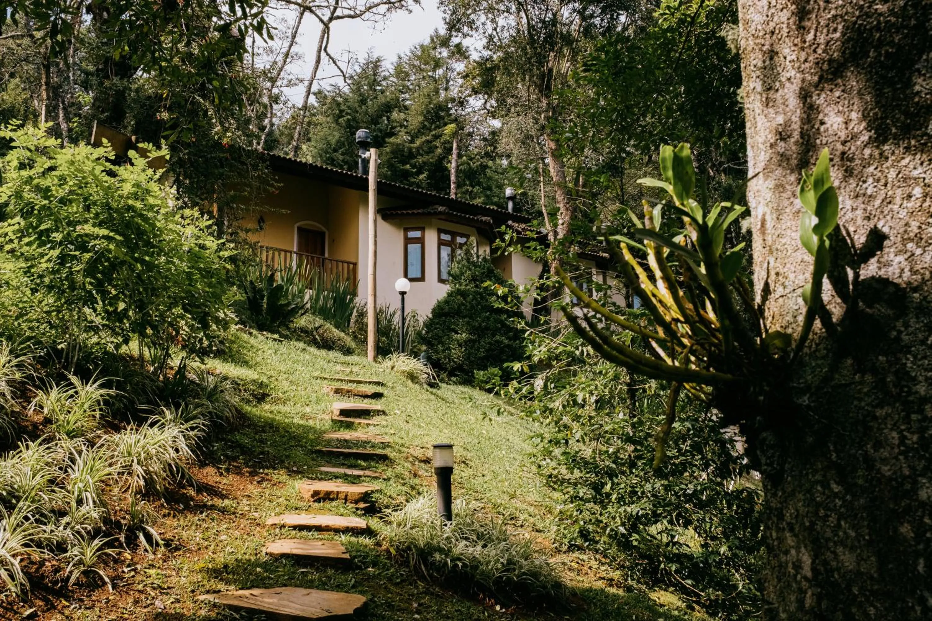 Garden in Pousada Amanita Monte Verde