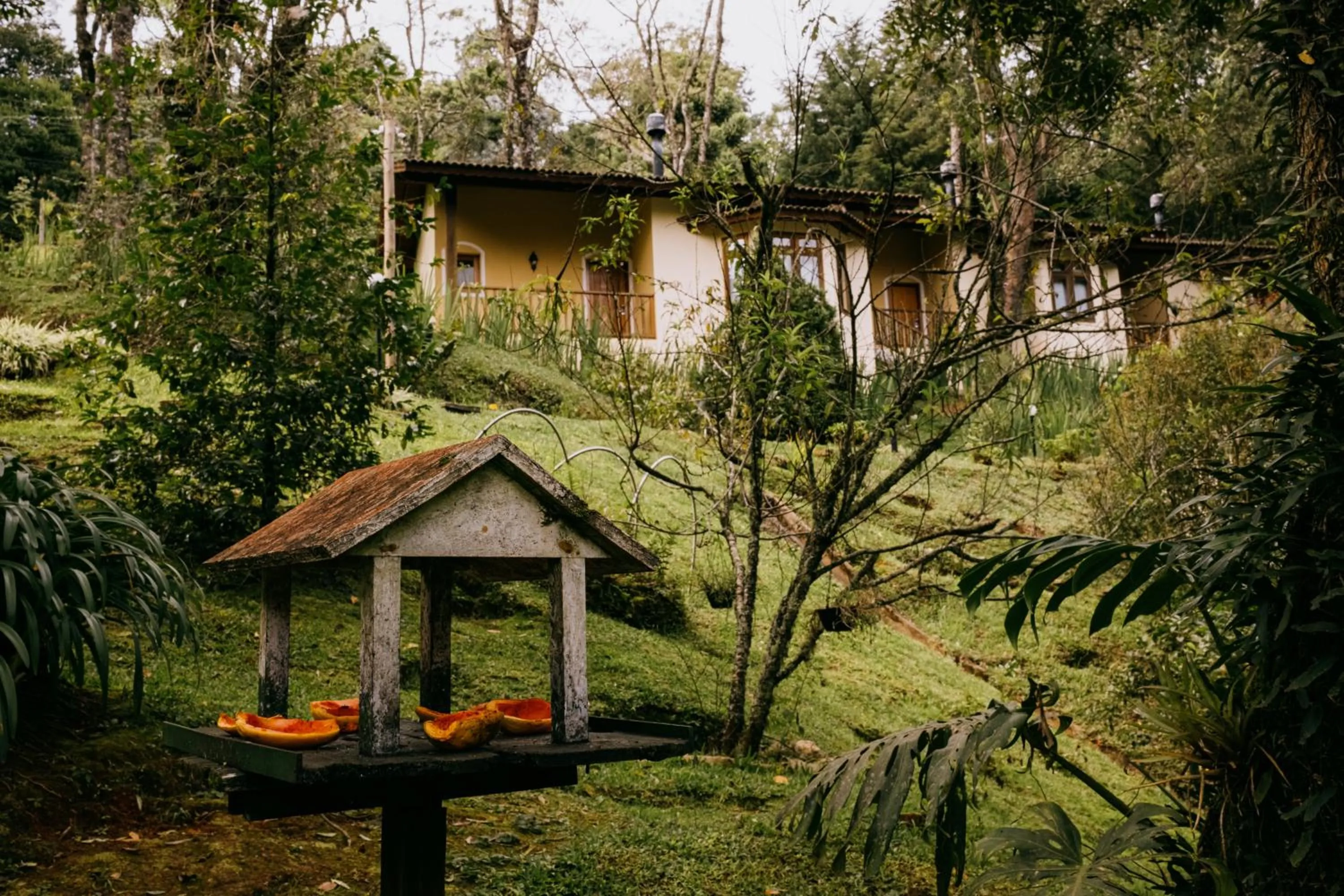 Garden in Pousada Amanita Monte Verde
