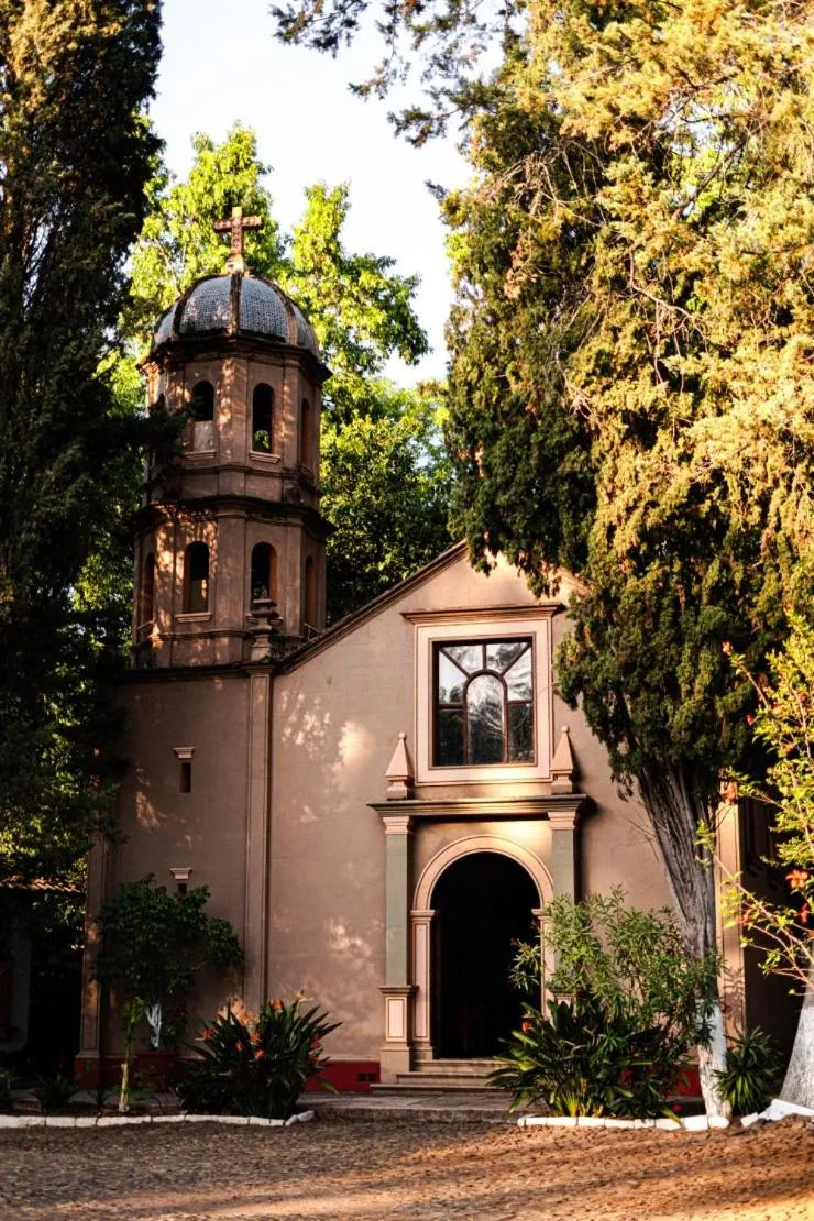 Area and facilities in Best Western Plus Posada de Don Vasco