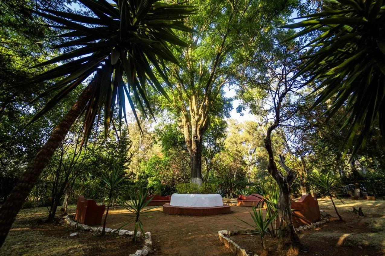 Garden in Best Western Plus Posada de Don Vasco