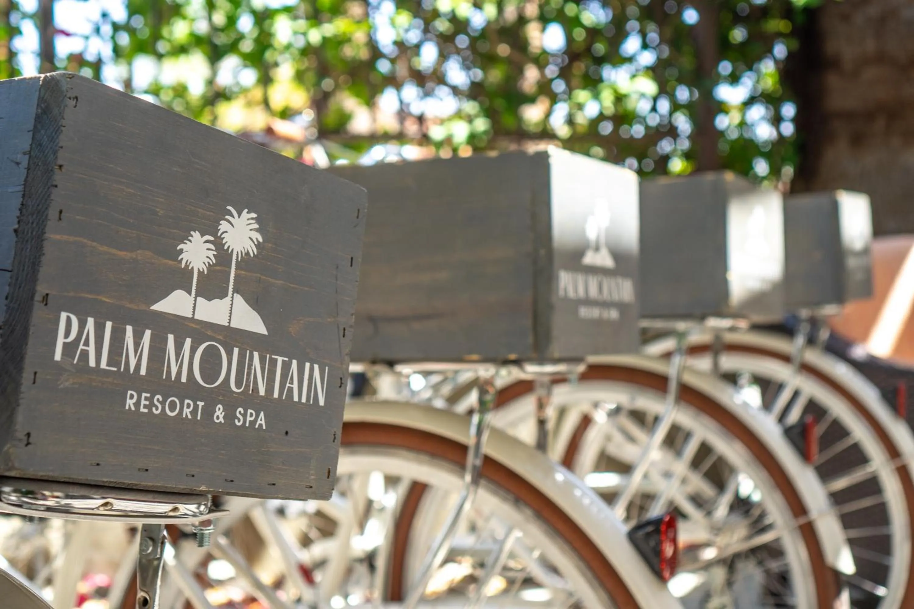 Cycling in Palm Mountain Resort & Spa