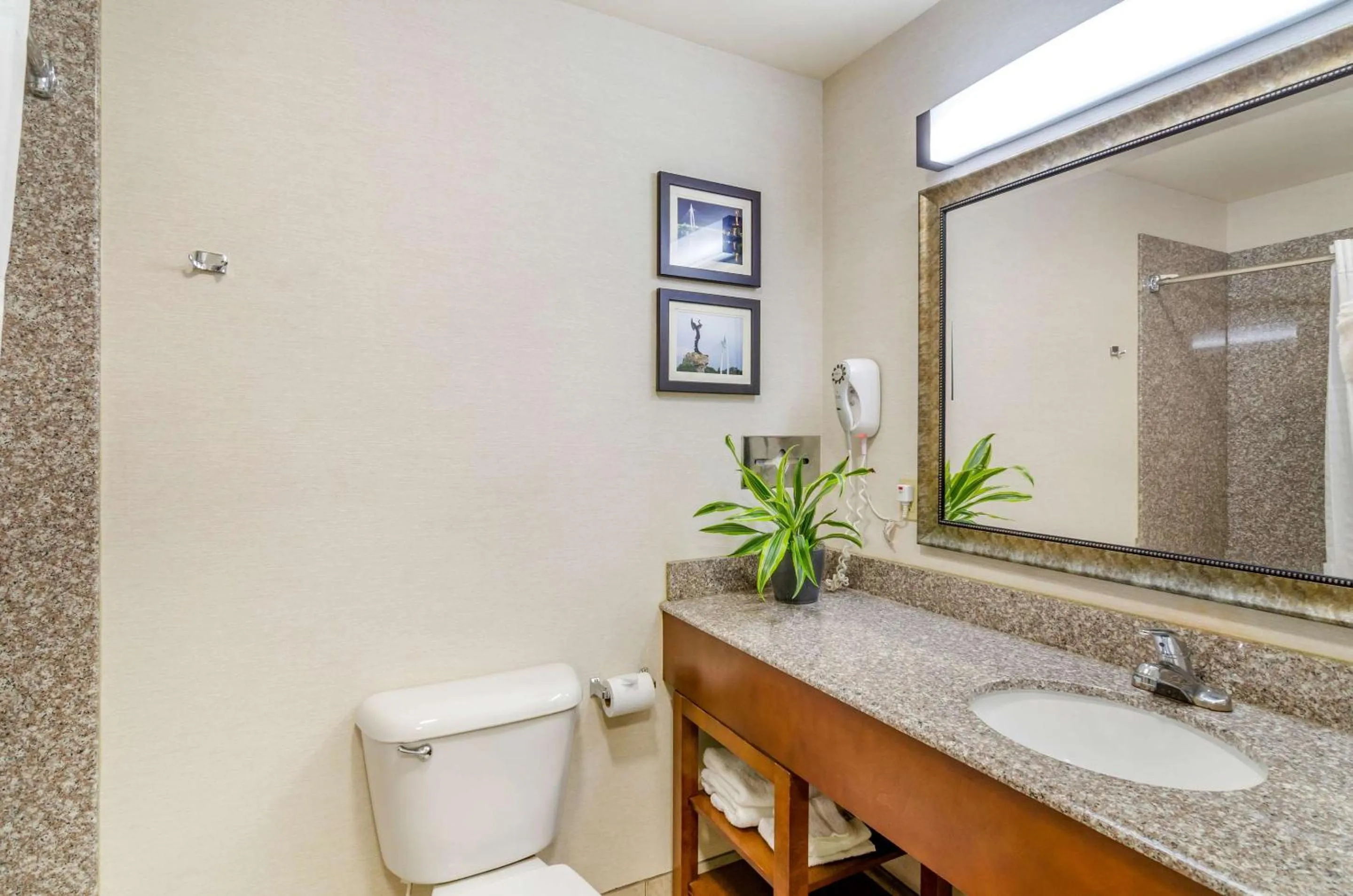 Bedroom in Comfort Inn & Suites near Bethel College