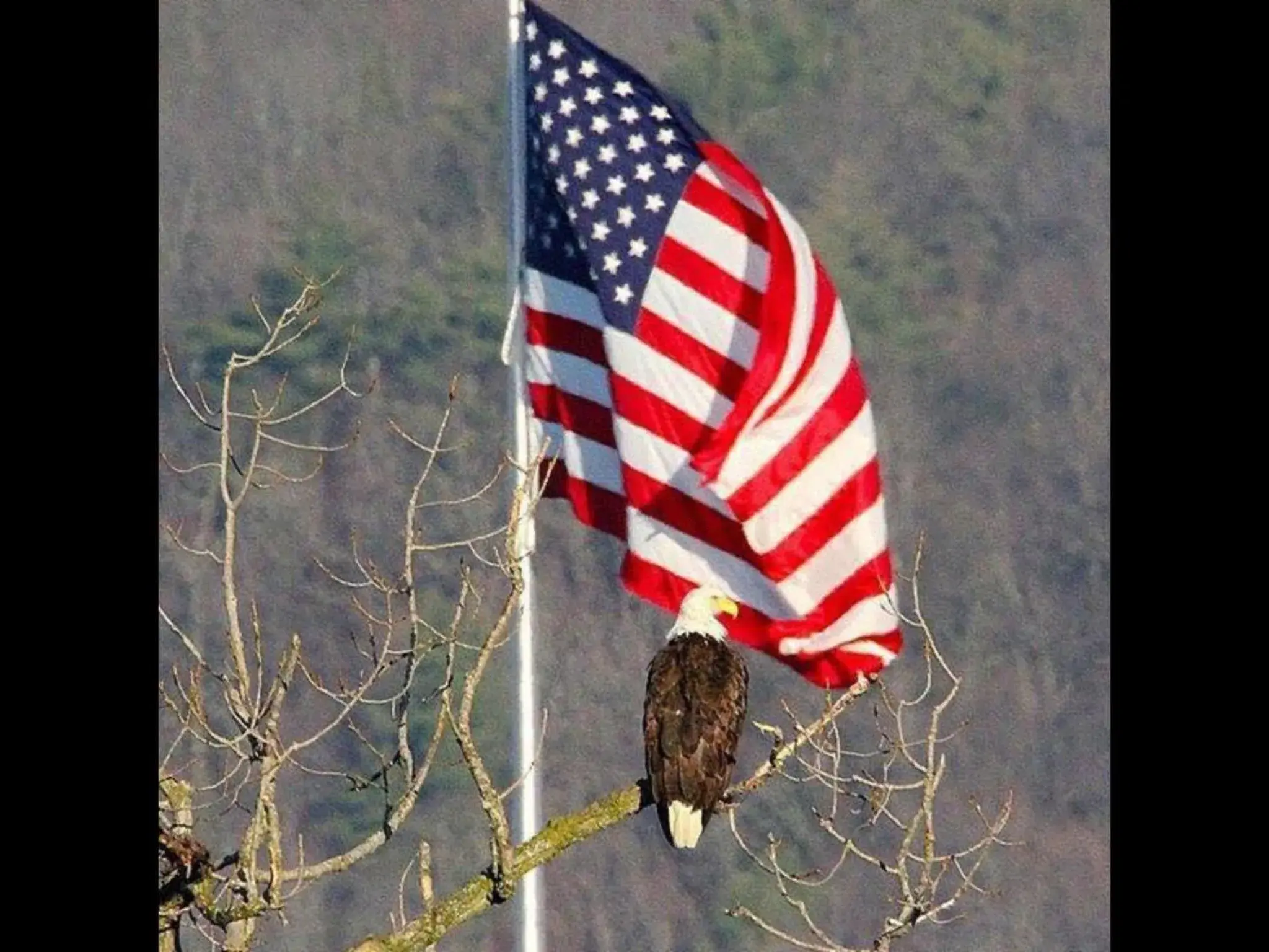 Budget Single Room in Regency 7 Motel Budget Single Room in Regency 7 Motel