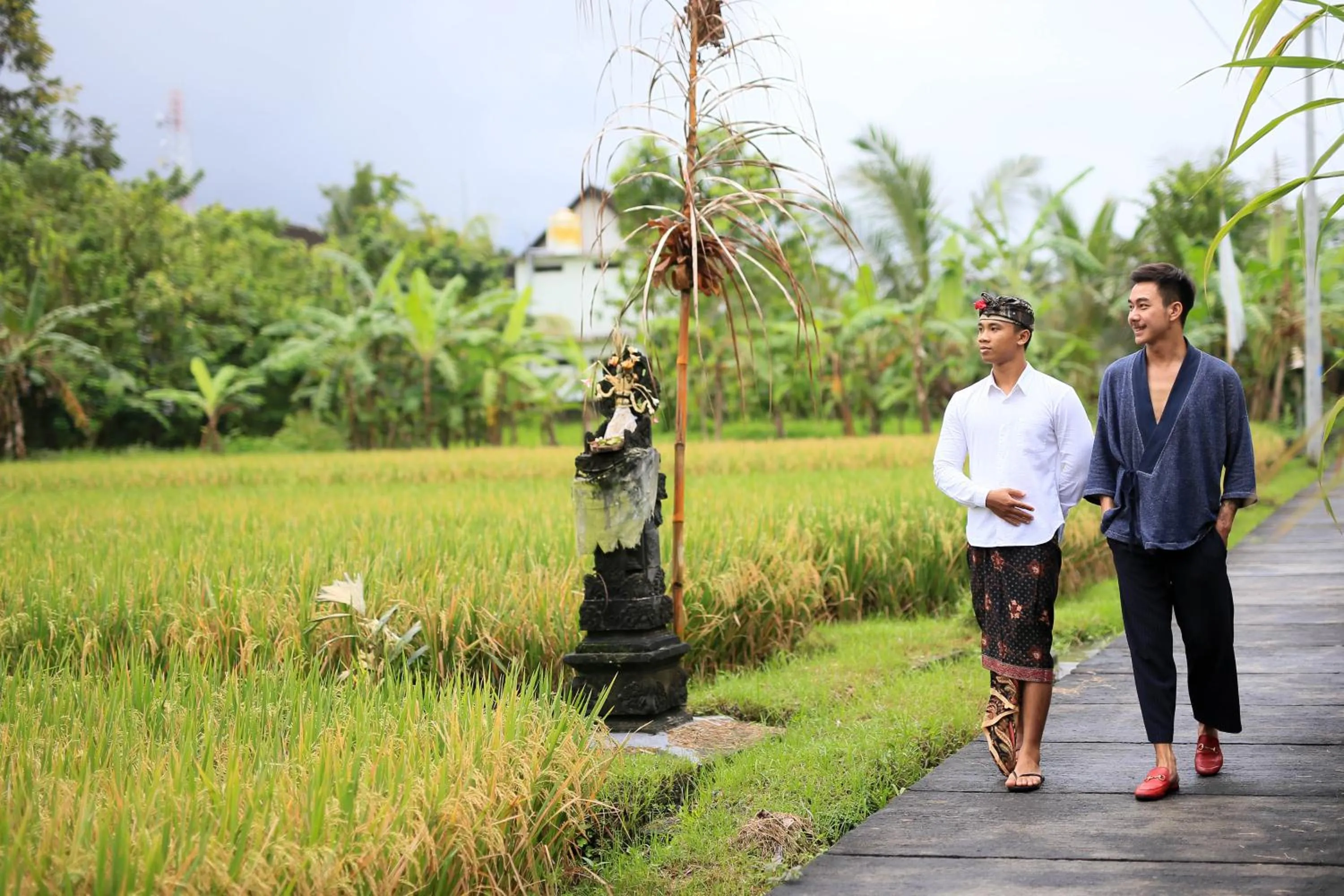 Activities in Ume Sri Villas Ubud